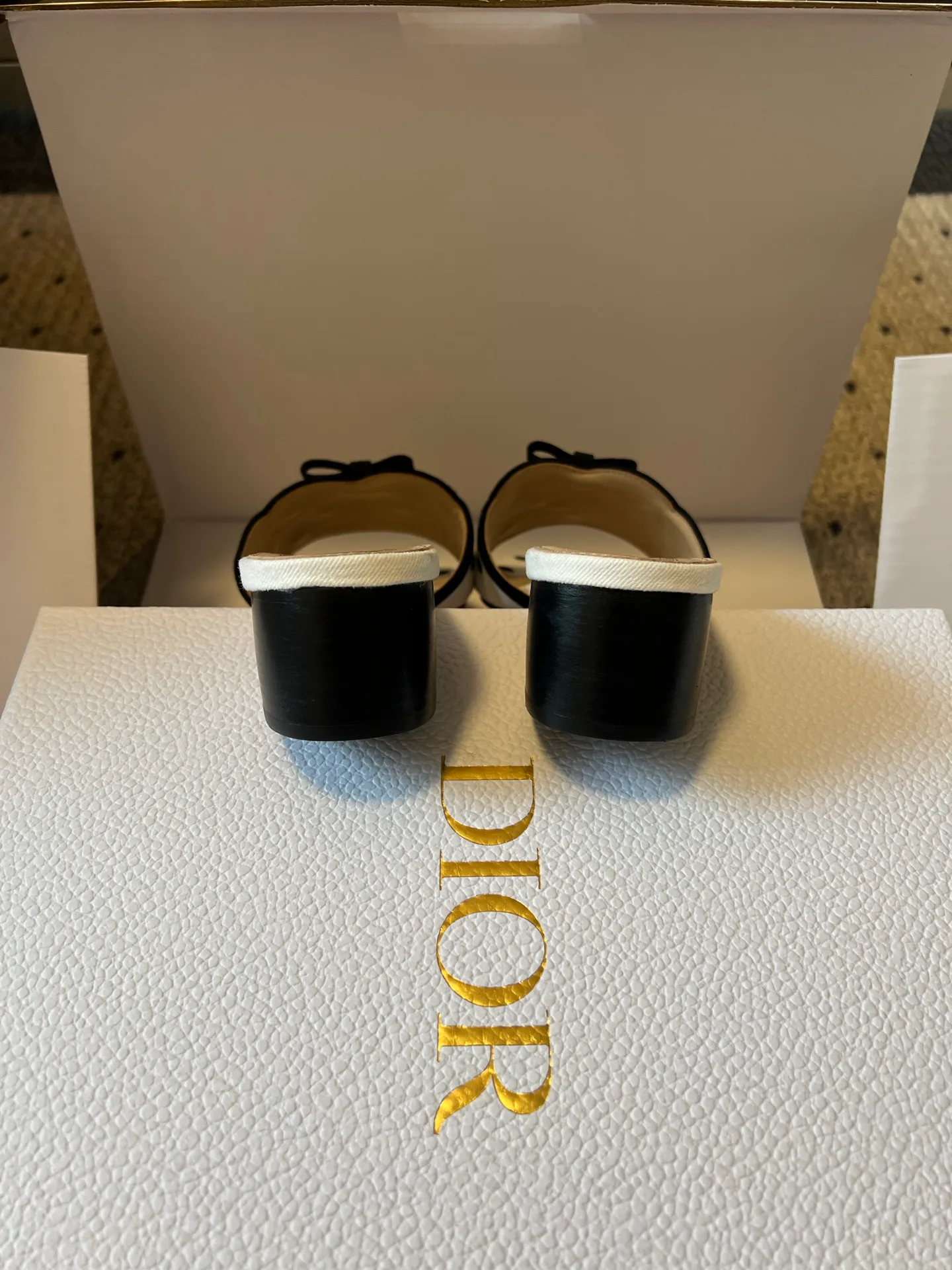 Women's Mules And Clogs CHRISTIAN DIOR 17915222