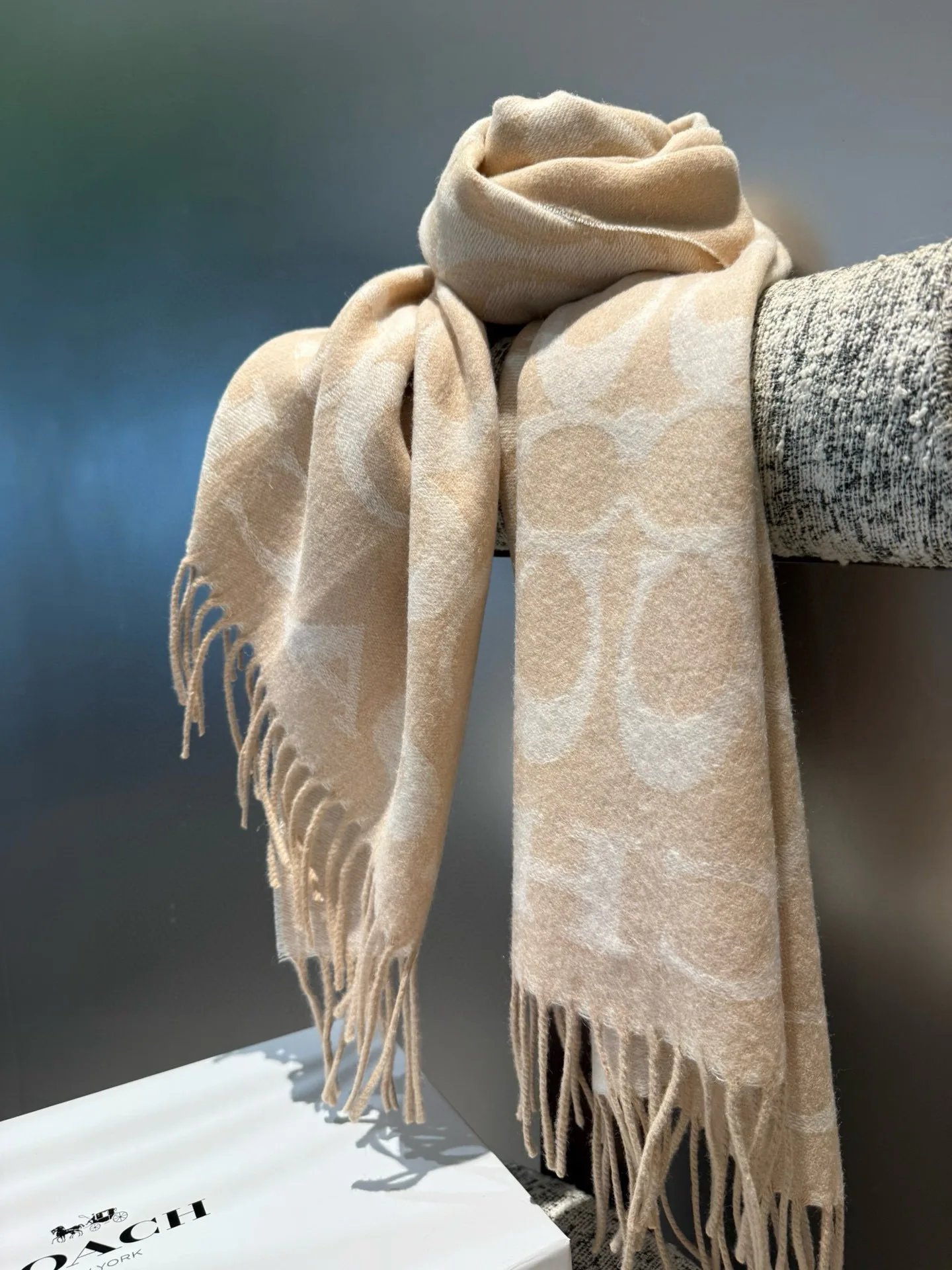 Scarves COACH 17448556