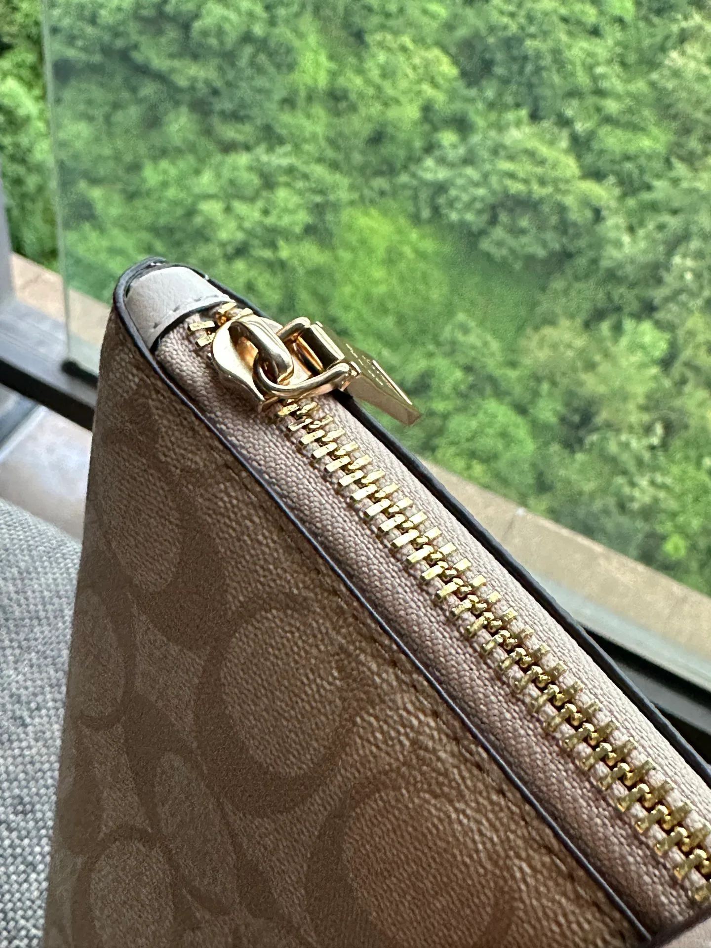 Women's Classic Handbags COACH 17961085