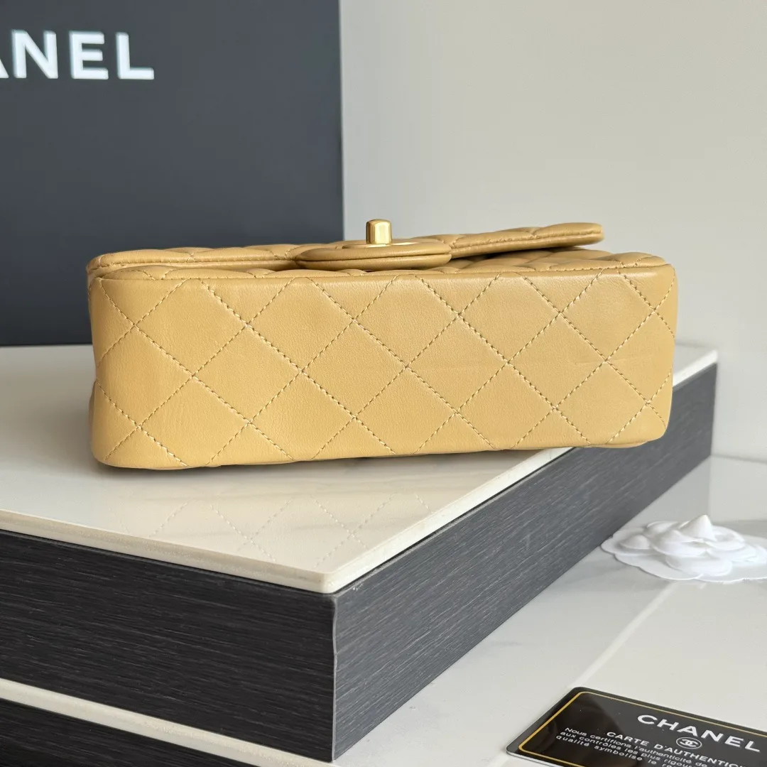 Women's Classic Handbags CHANEL 17827589