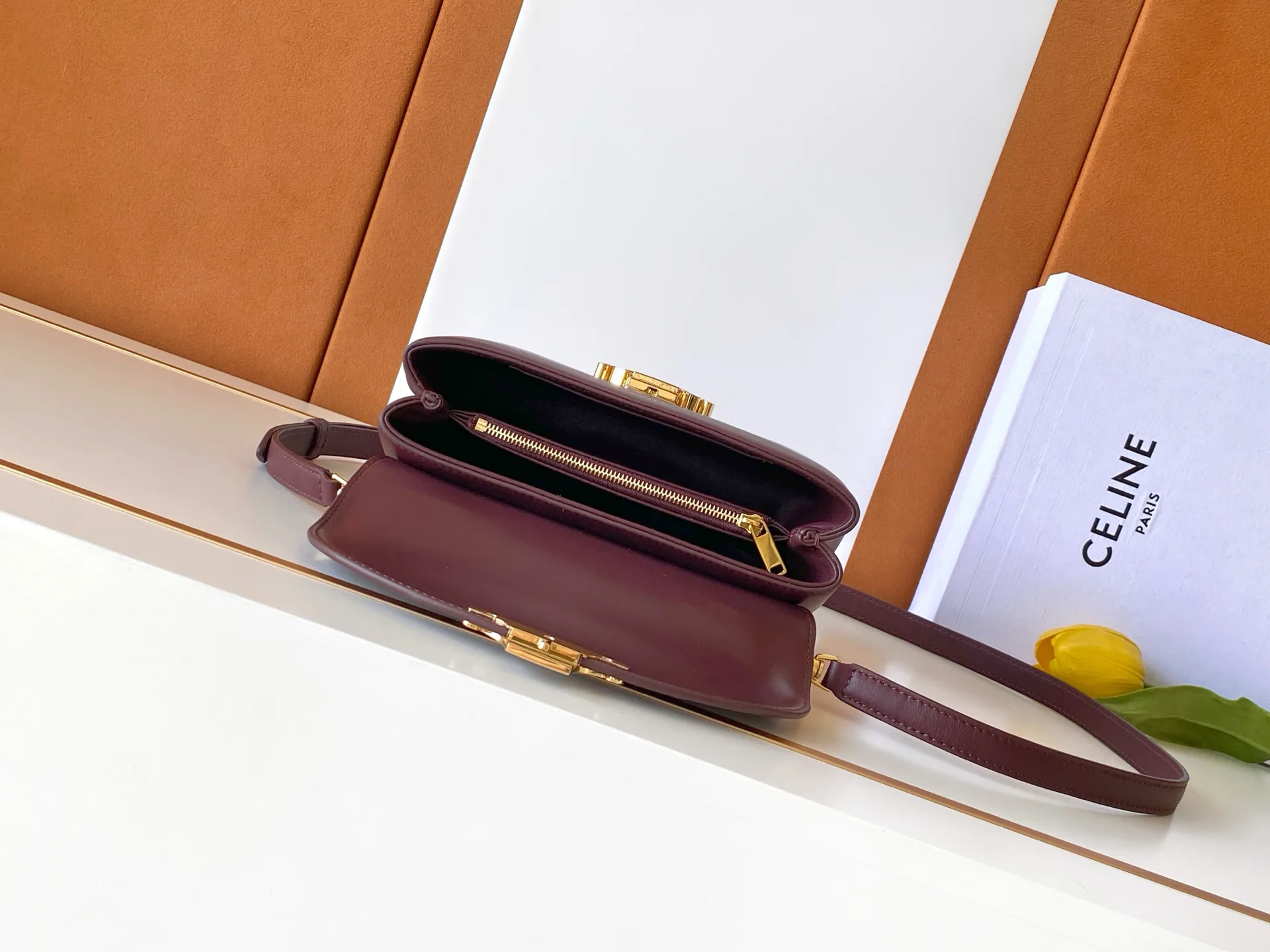 Women's Classic Handbags CELINE 18310391