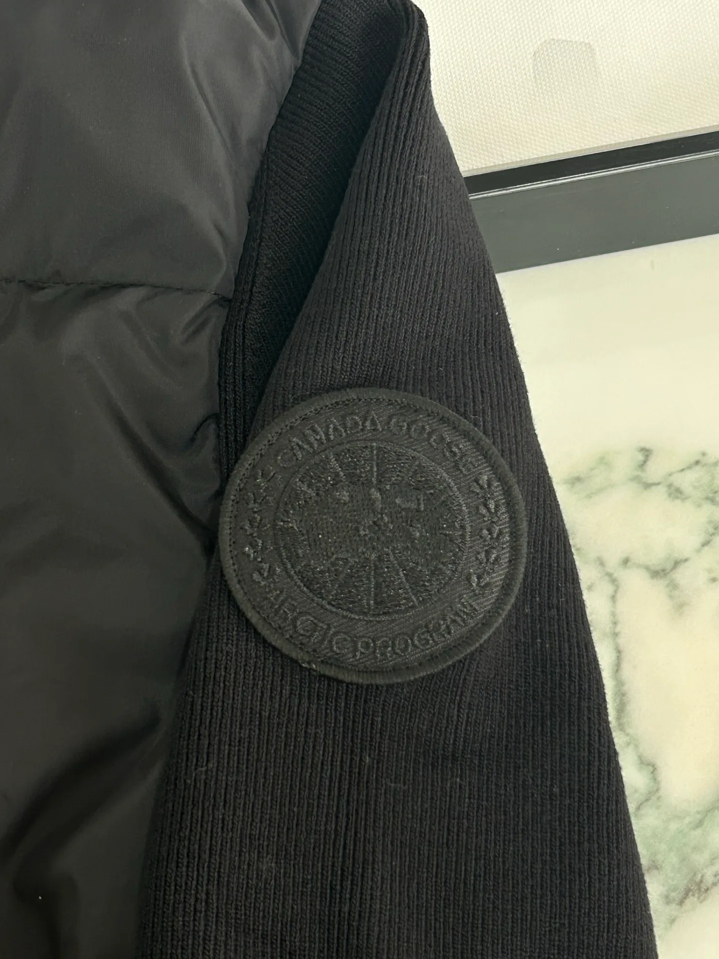 Men's Jackets And Down Jackets CANADA GOOSE 18330266