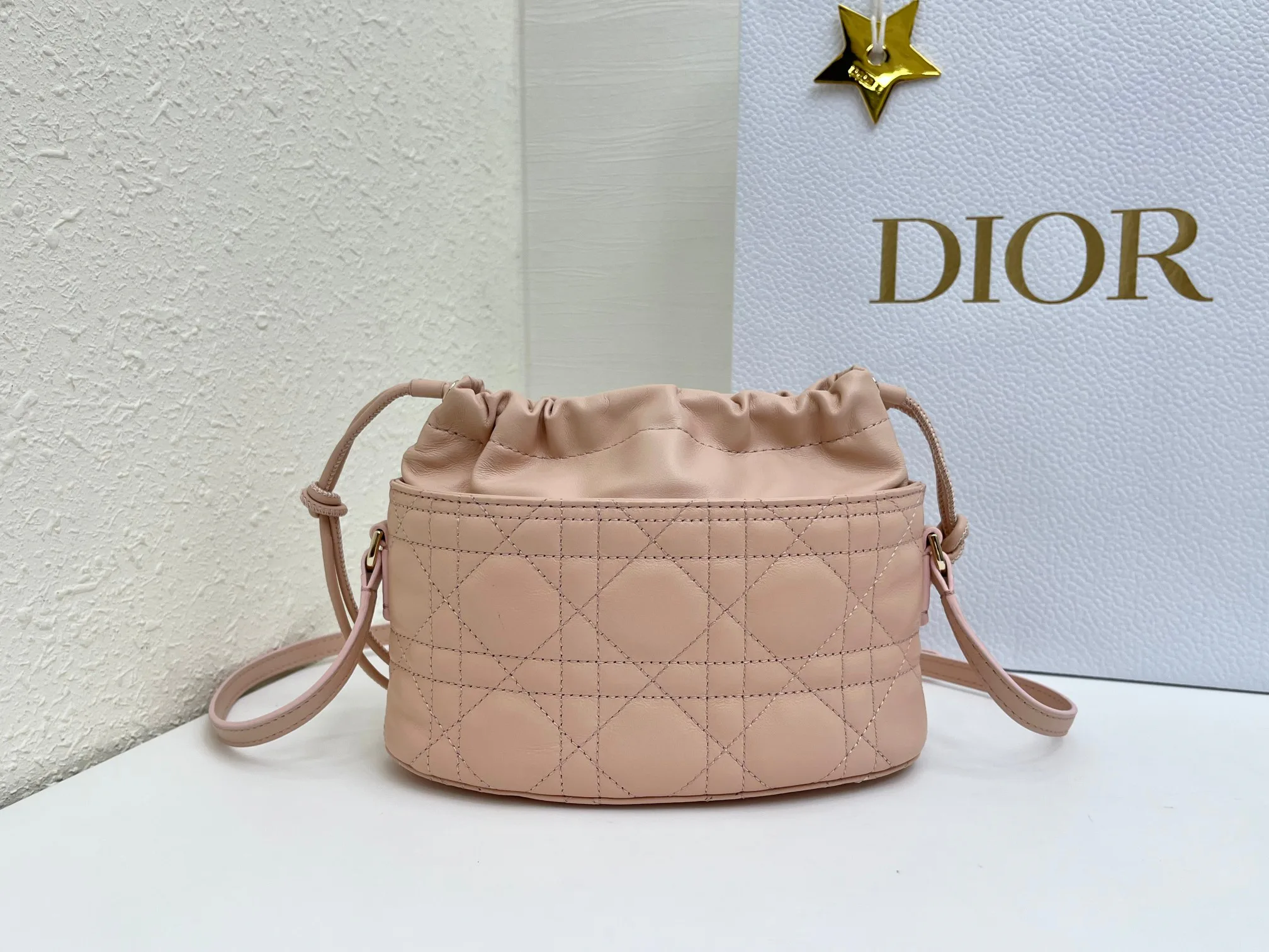 Women's Classic Handbags CHRISTIAN DIOR 17930035