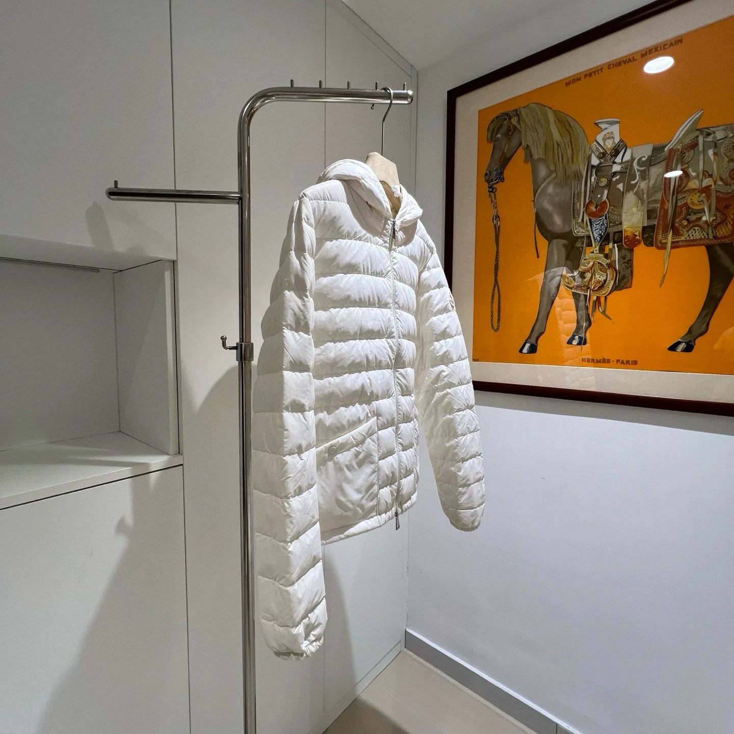 Women's Jackets And Down Jackets MONCLER 18180100