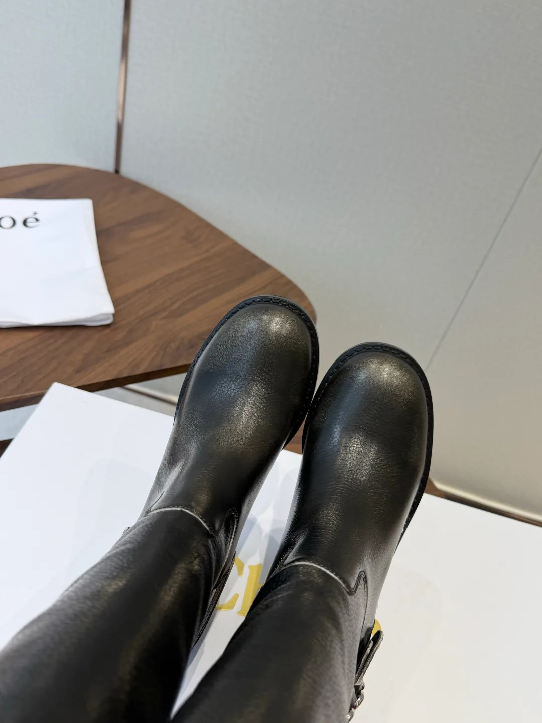 Women's Boots CHLOE 18498864