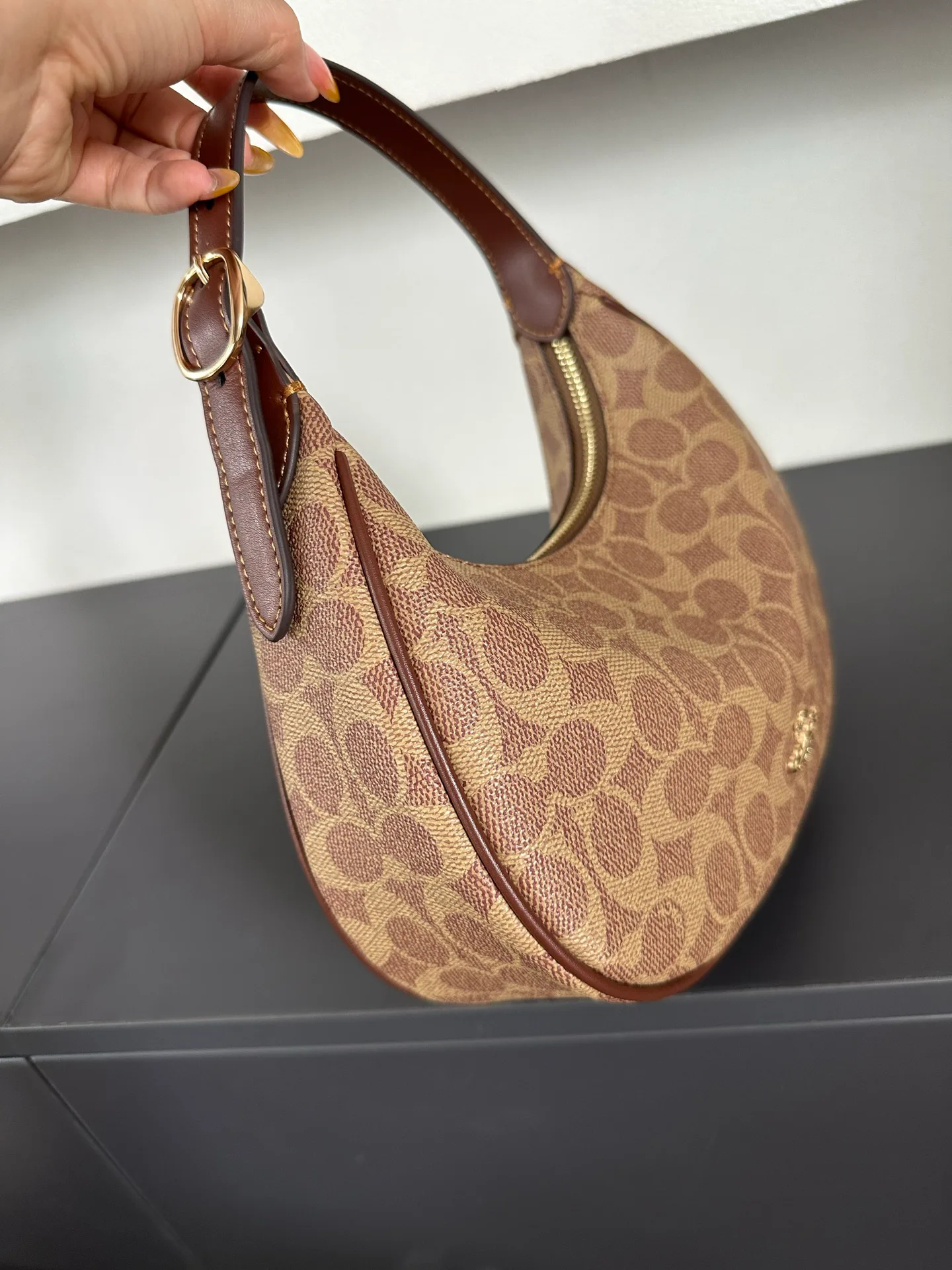 Women's Classic Handbags COACH 17960985
