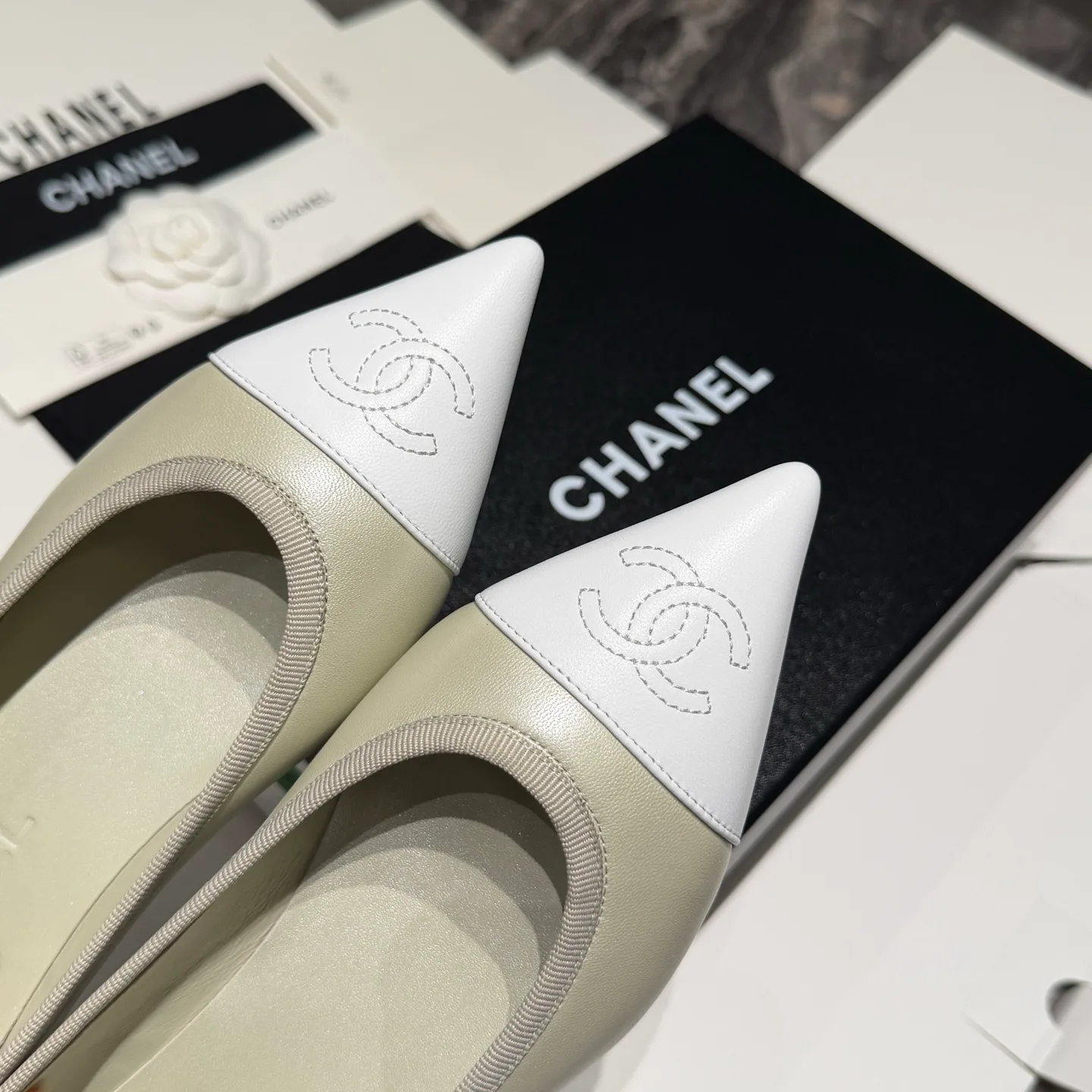 Women's Ballet Flats CHANEL 18201908