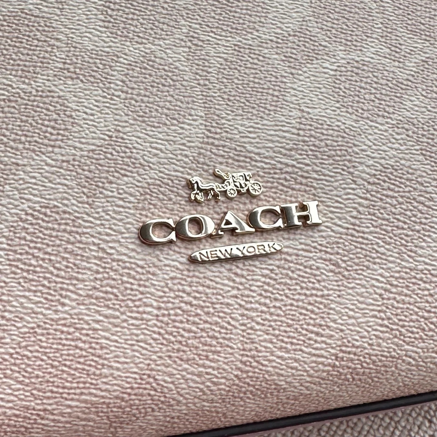 Women's Classic Handbags COACH 17961000