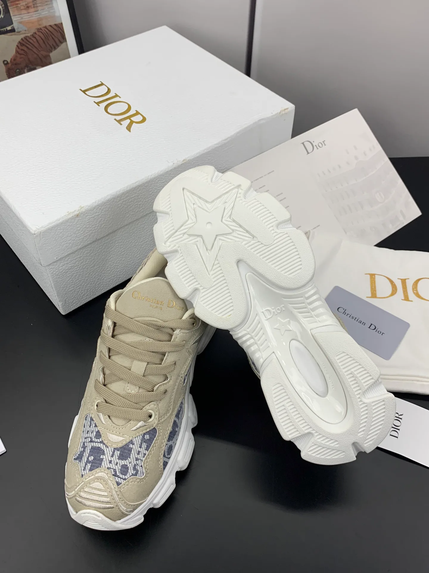Women's Sneakers CHRISTIAN DIOR 17545284
