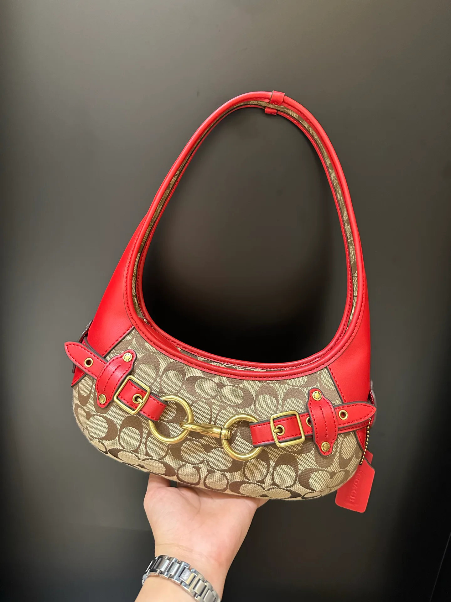 Women's Classic Handbags COACH 17961602