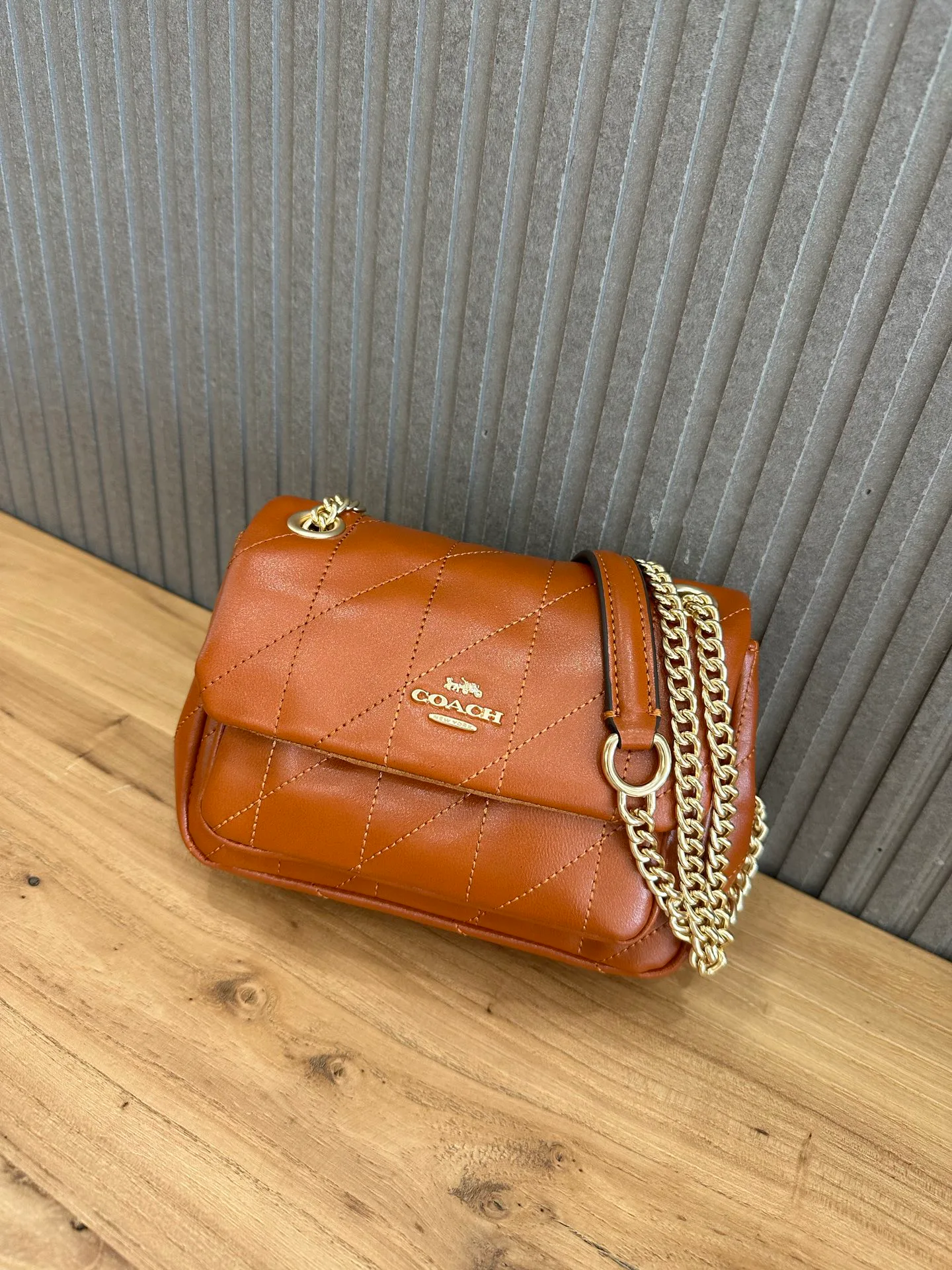 Women's Classic Handbags COACH 18364986