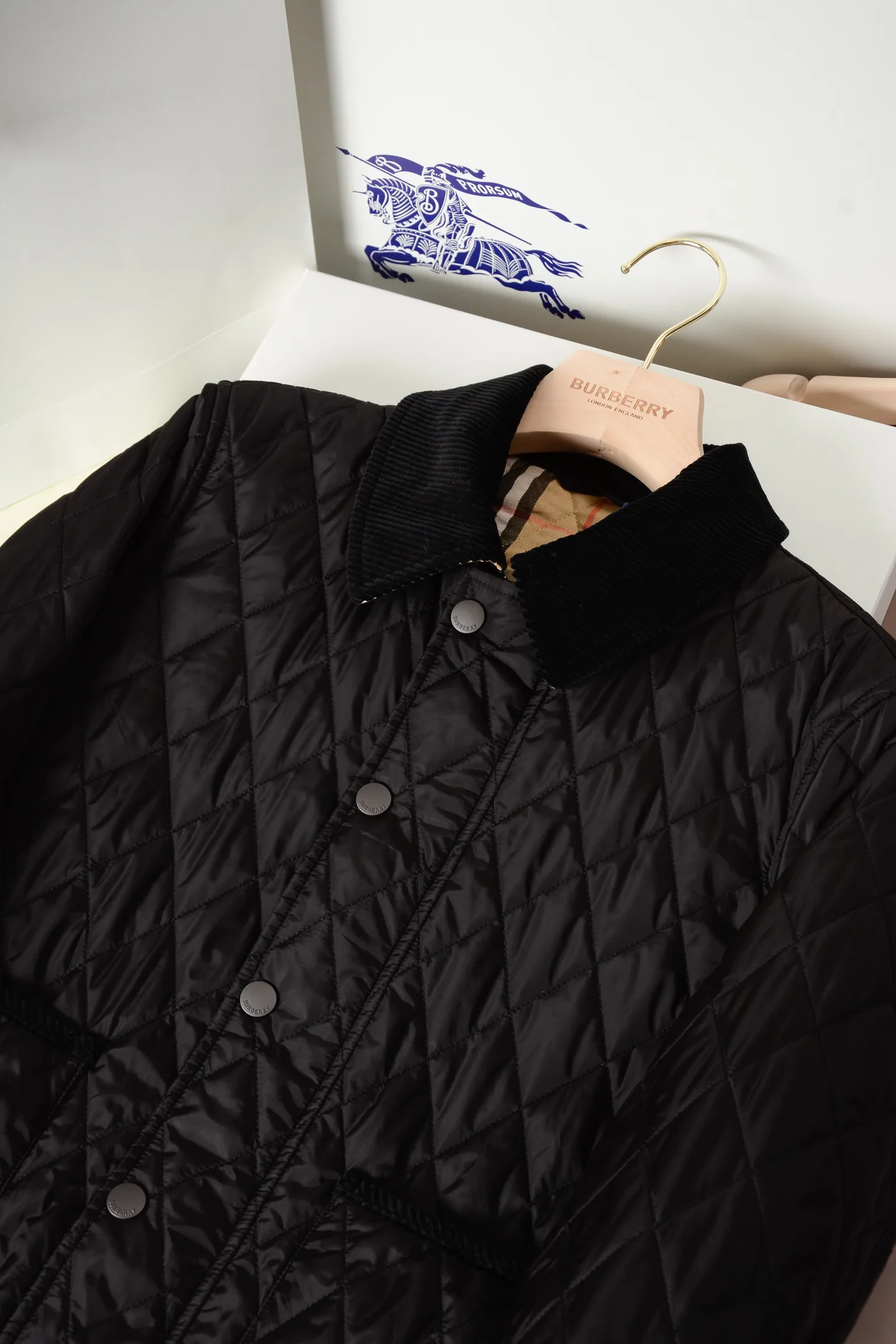 Women's Jackets And Down Jackets BURBERRY 18513004