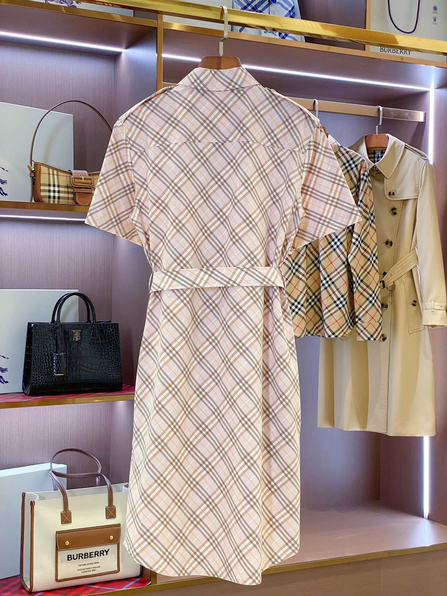 Women's Dresses BURBERRY 17361076