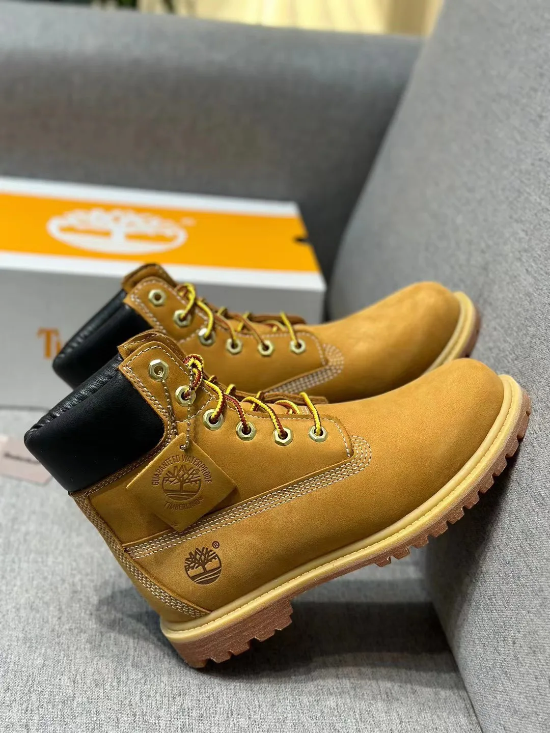 Women's Ankle Boots TIMBERLAND 18072178