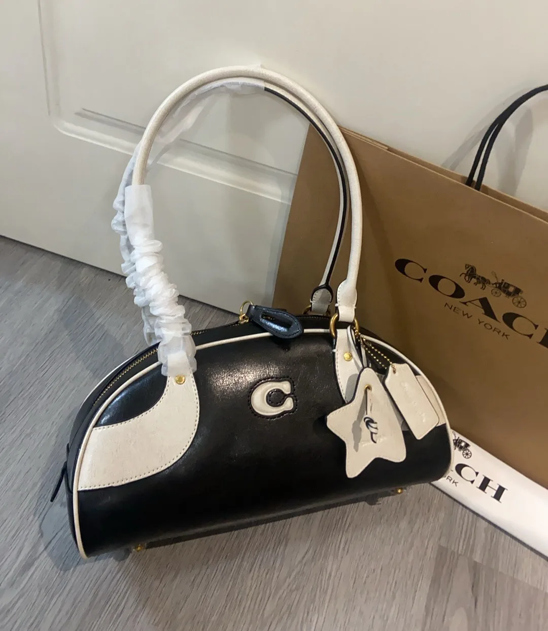 Women's Classic Handbags COACH 17246854