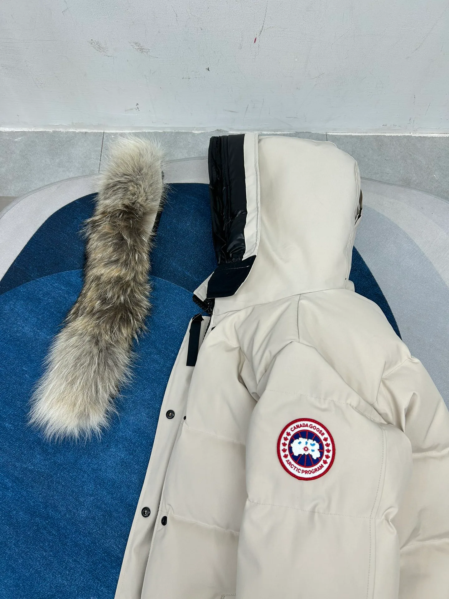 Women's Jackets And Down Jackets CANADA GOOSE 18188606