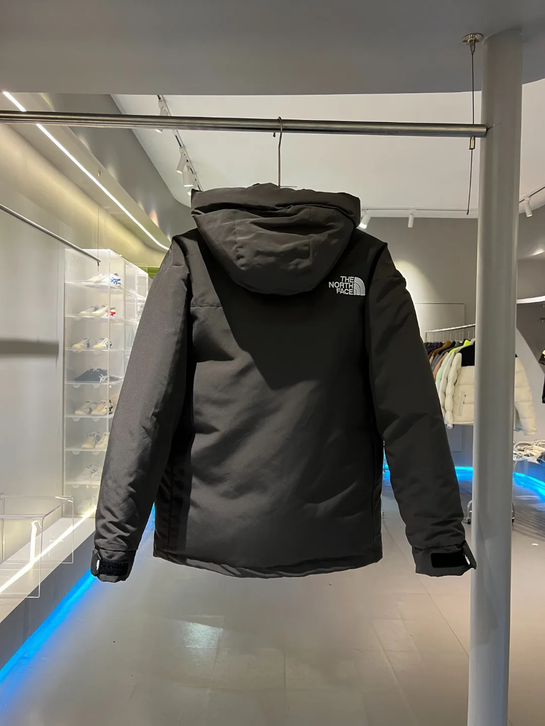 Women's Jackets And Down Jackets THE NORTH FACE 17902578