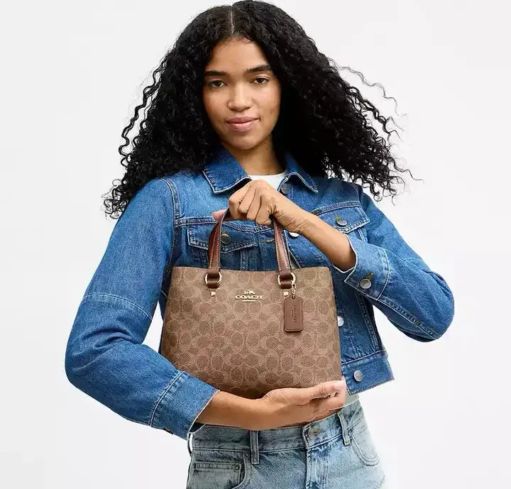 Women's Classic Handbags COACH 17960954