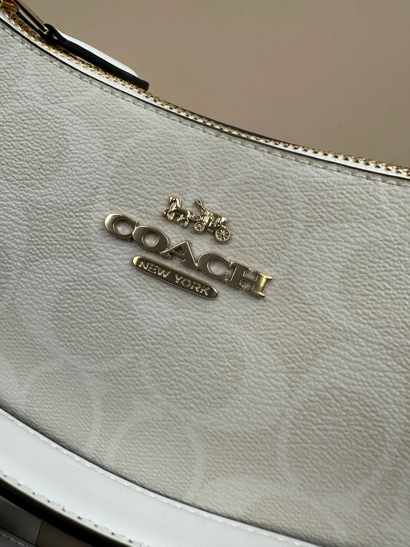 Women's Classic Handbags COACH 17961032