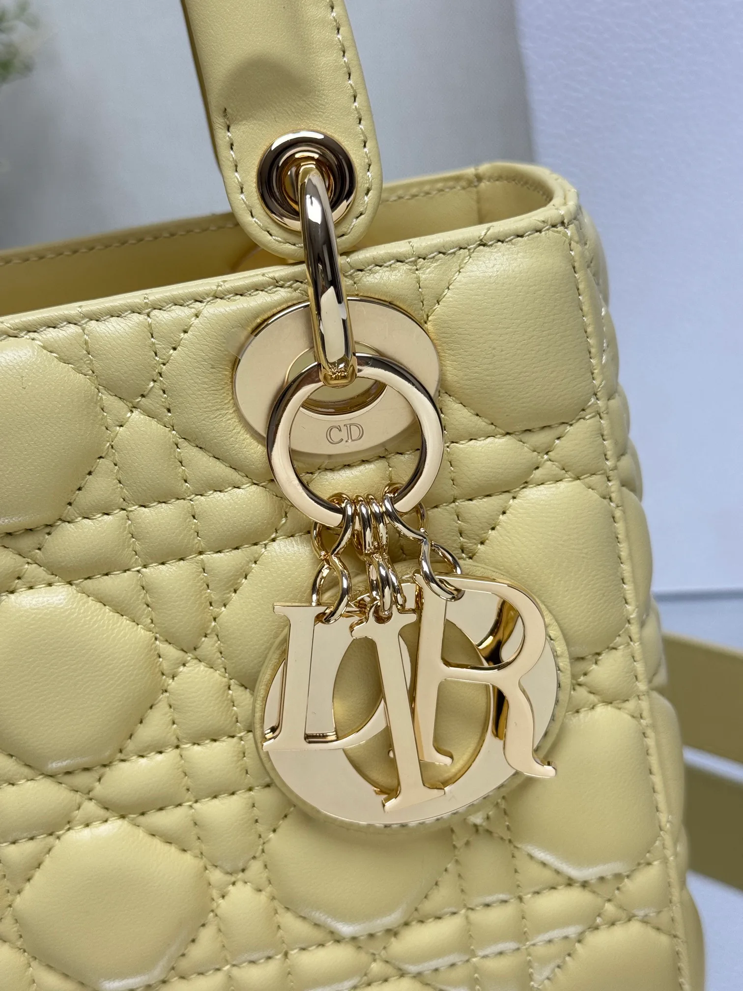 Women's Classic Handbags CHRISTIAN DIOR 17601465