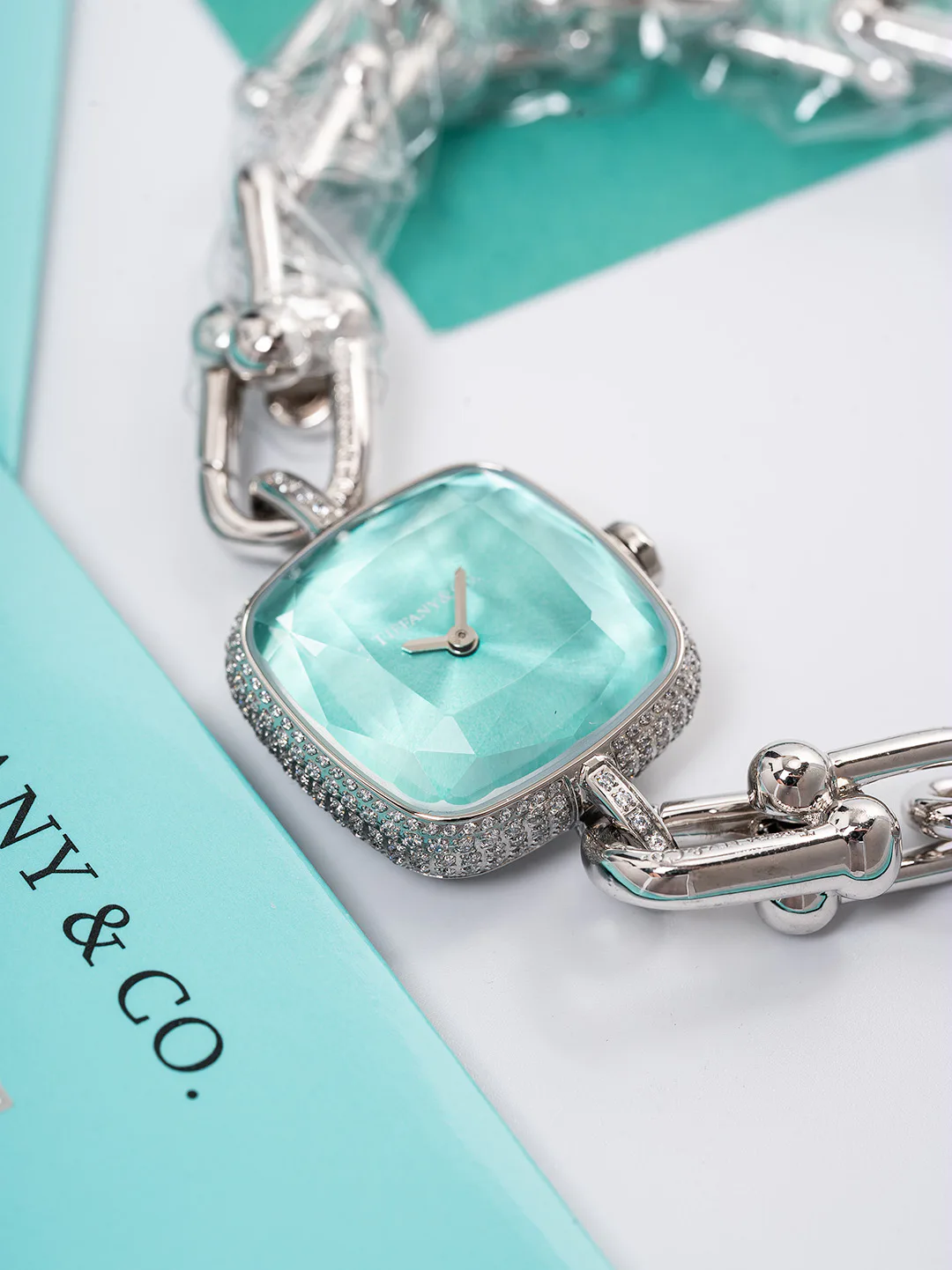 Women's Watches TIFFANY 17931637