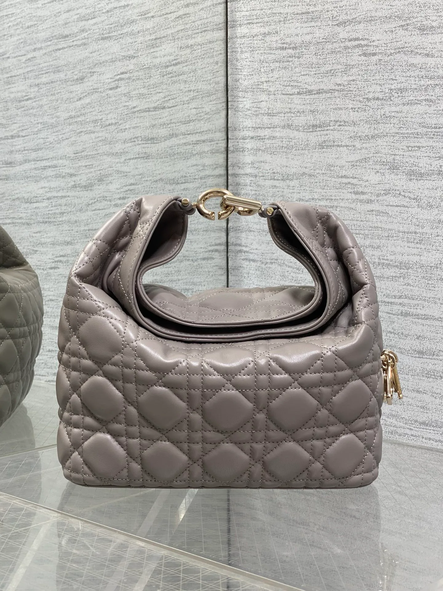 Women's Classic Handbags CHRISTIAN DIOR 18242103