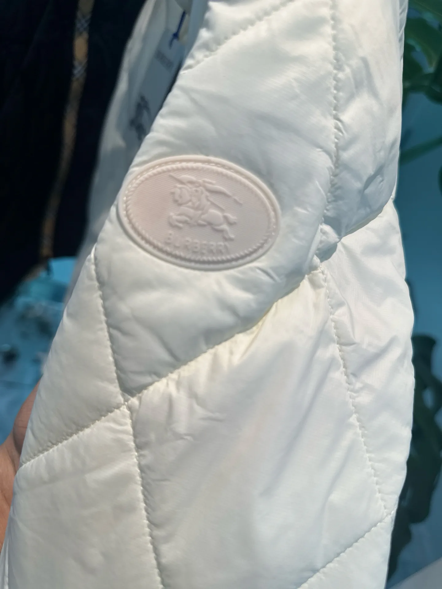 Women's Jackets And Down Jackets BURBERRY 18334028