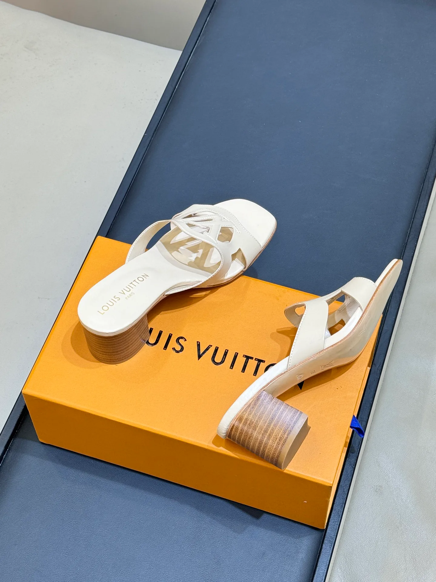 Women's Mules And Clogs LOUIS VUITTON 18073235