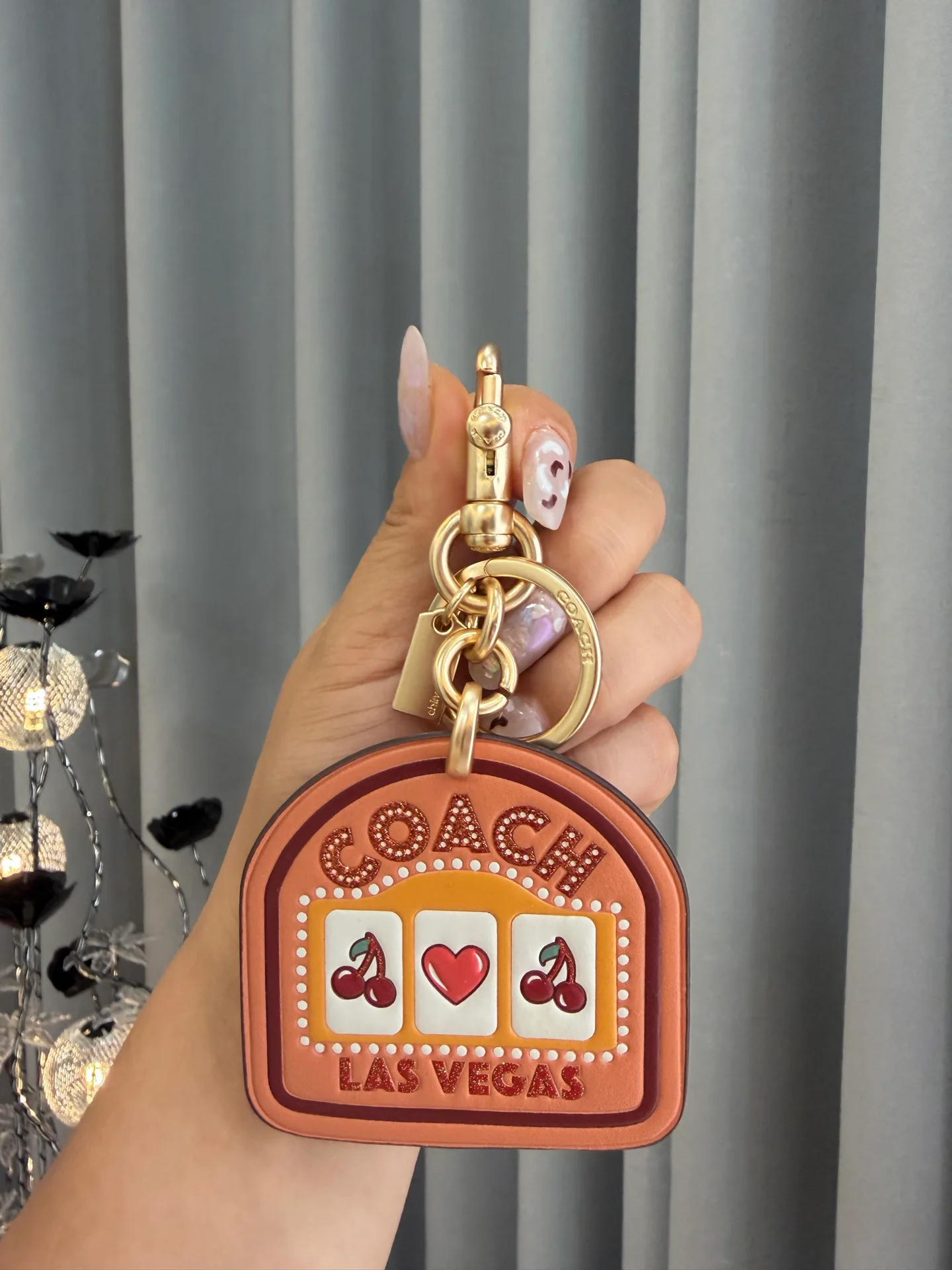 Key Cases COACH 17961101