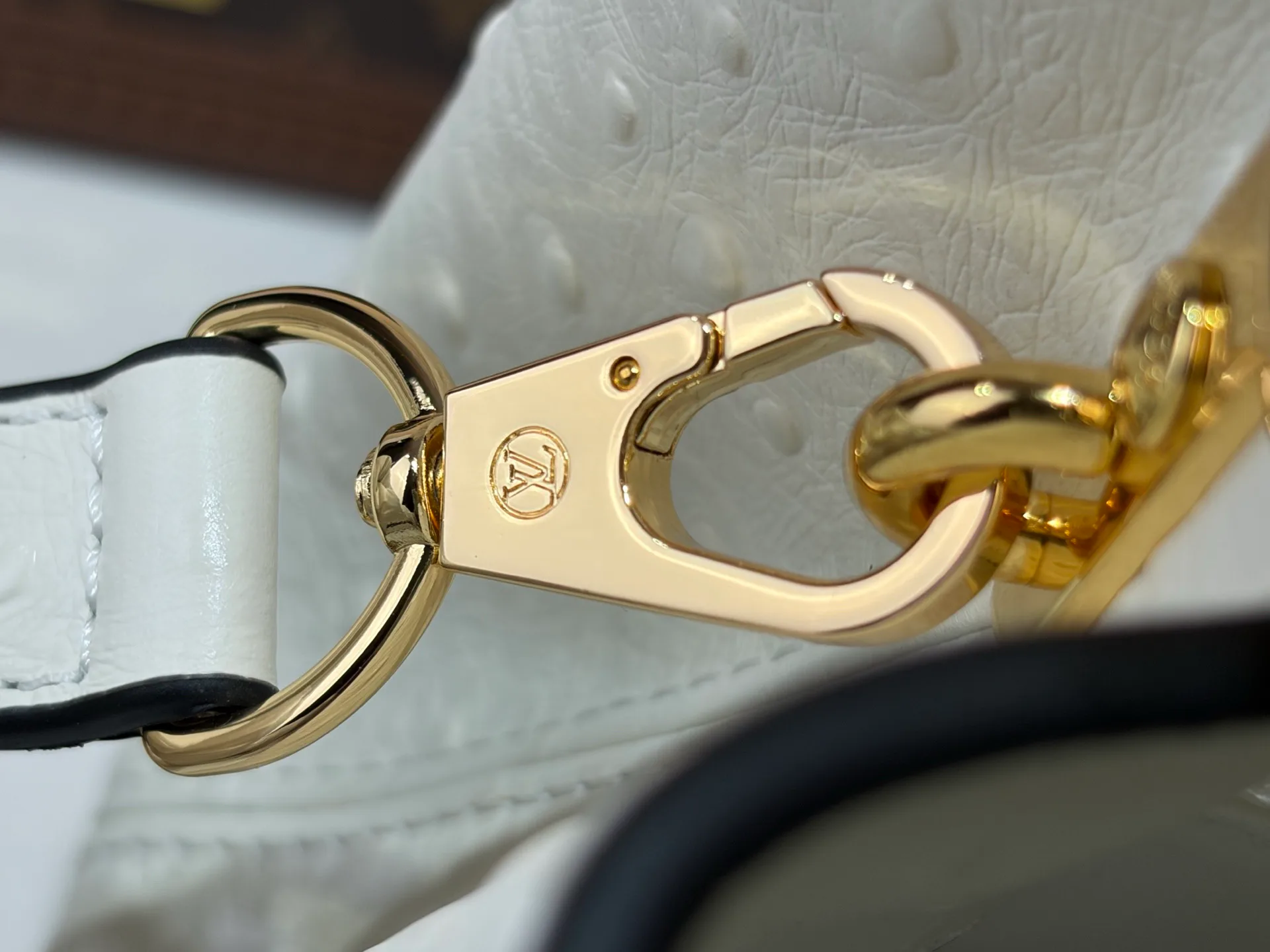 Women's Classic Handbags LOUIS VUITTON 18491316