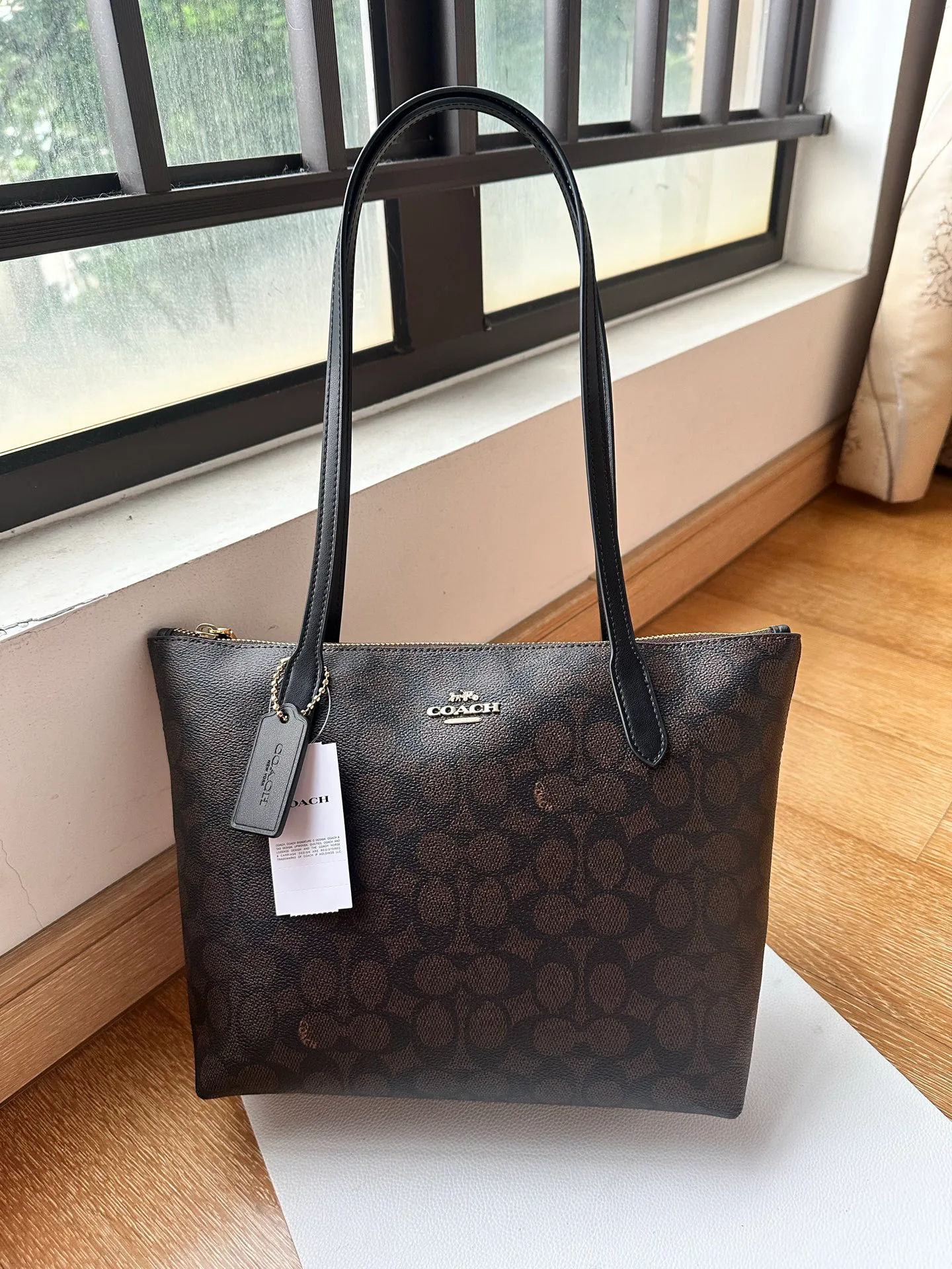 Women's Classic Handbags COACH 17961007