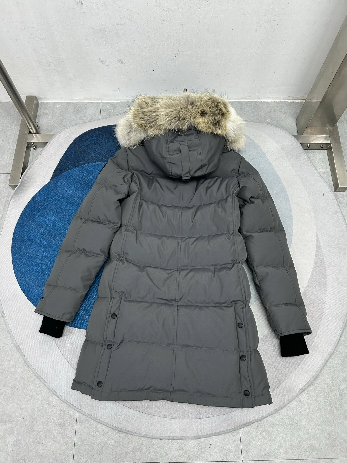 Women's Jackets And Down Jackets CANADA GOOSE 18188608