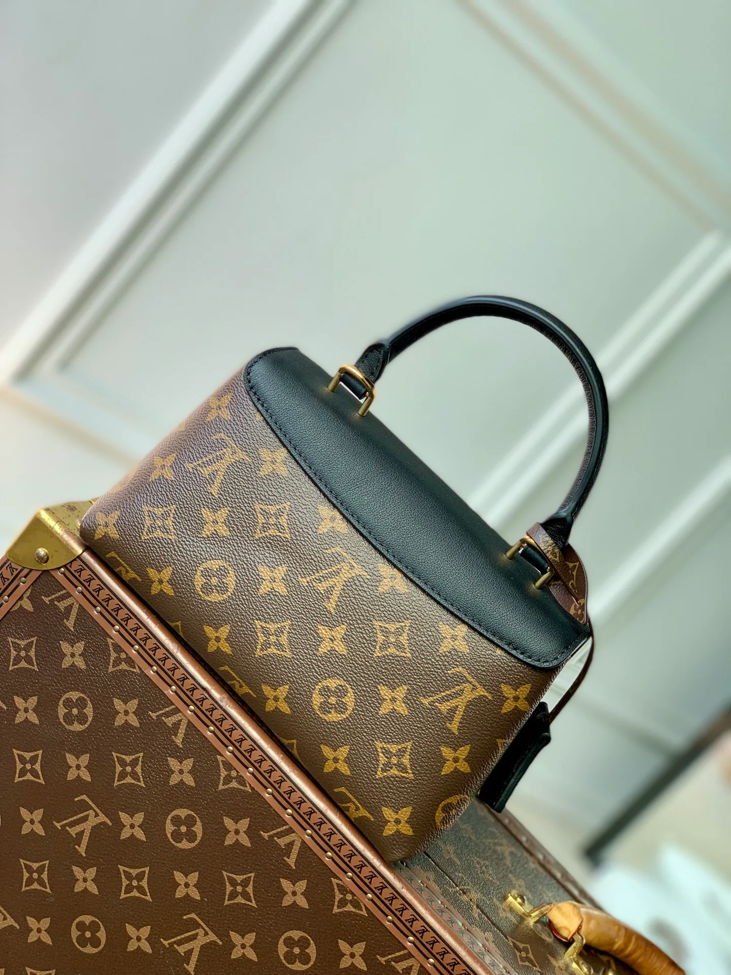 Women's Classic Handbags LOUIS VUITTON 18412602