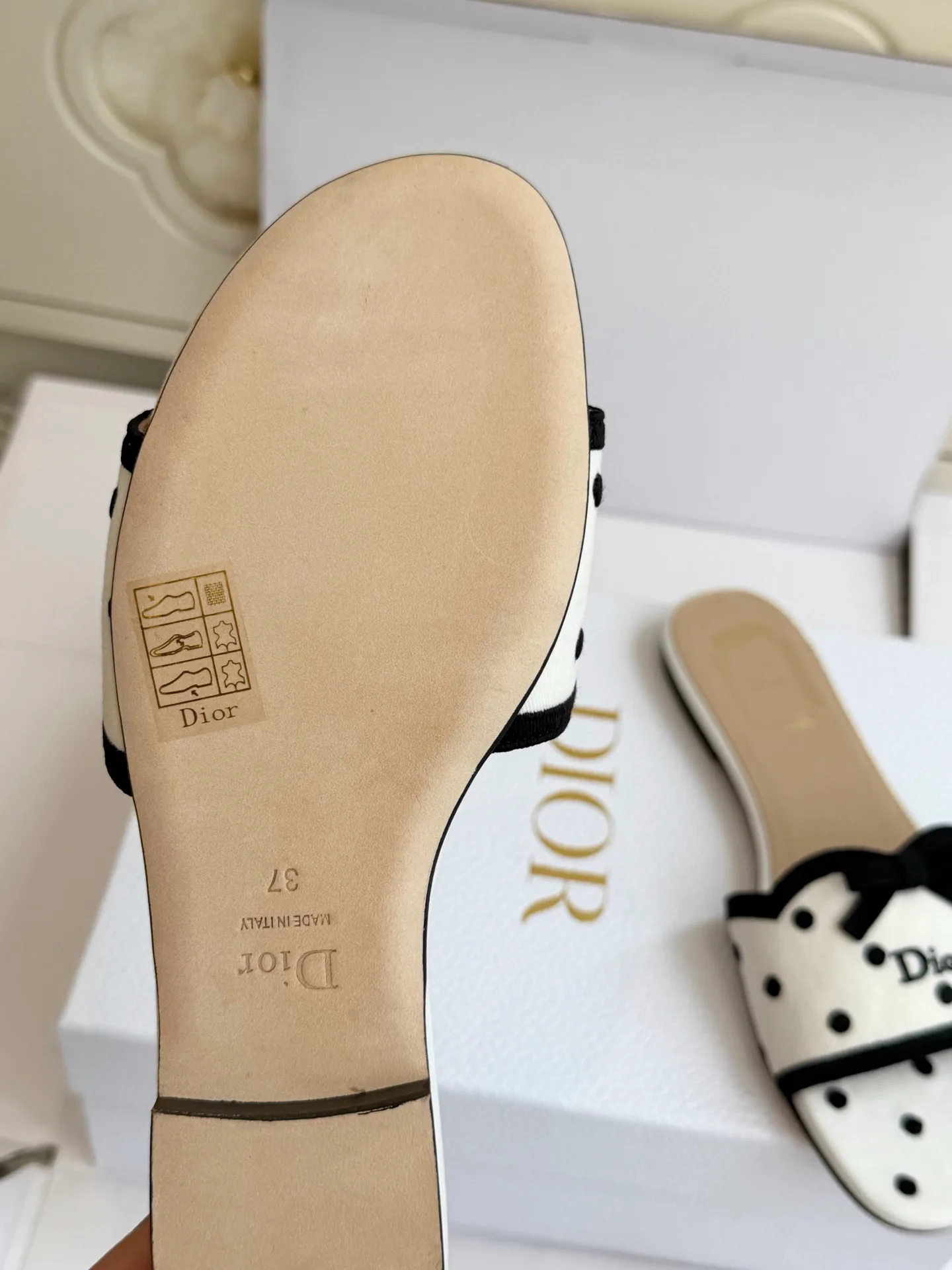 Women's Mules And Clogs CHRISTIAN DIOR 18224044