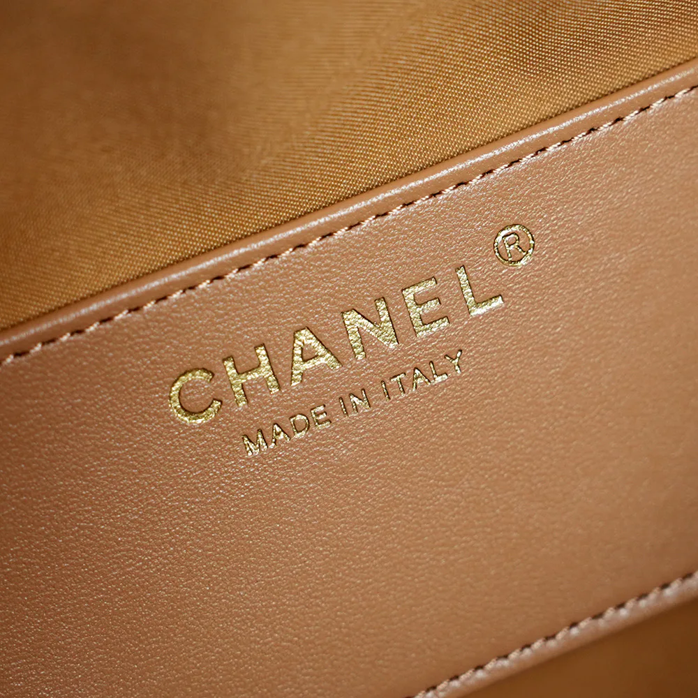 Women's Classic Handbags CHANEL 17571437