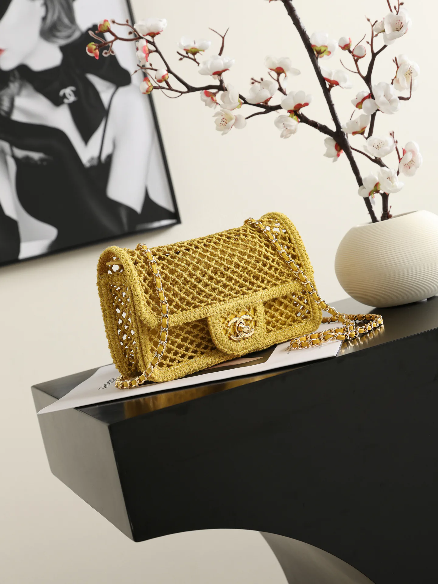 Women's Classic Handbags CHANEL 18000319