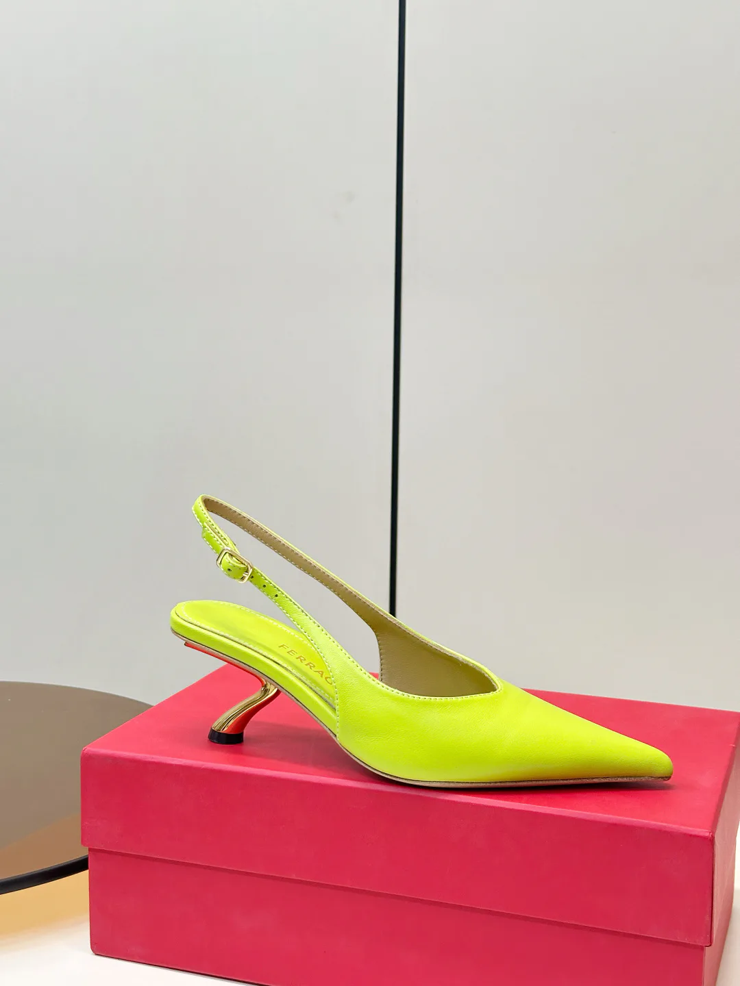 Women's Heels SALVATORE FERRAGAMO 17177458