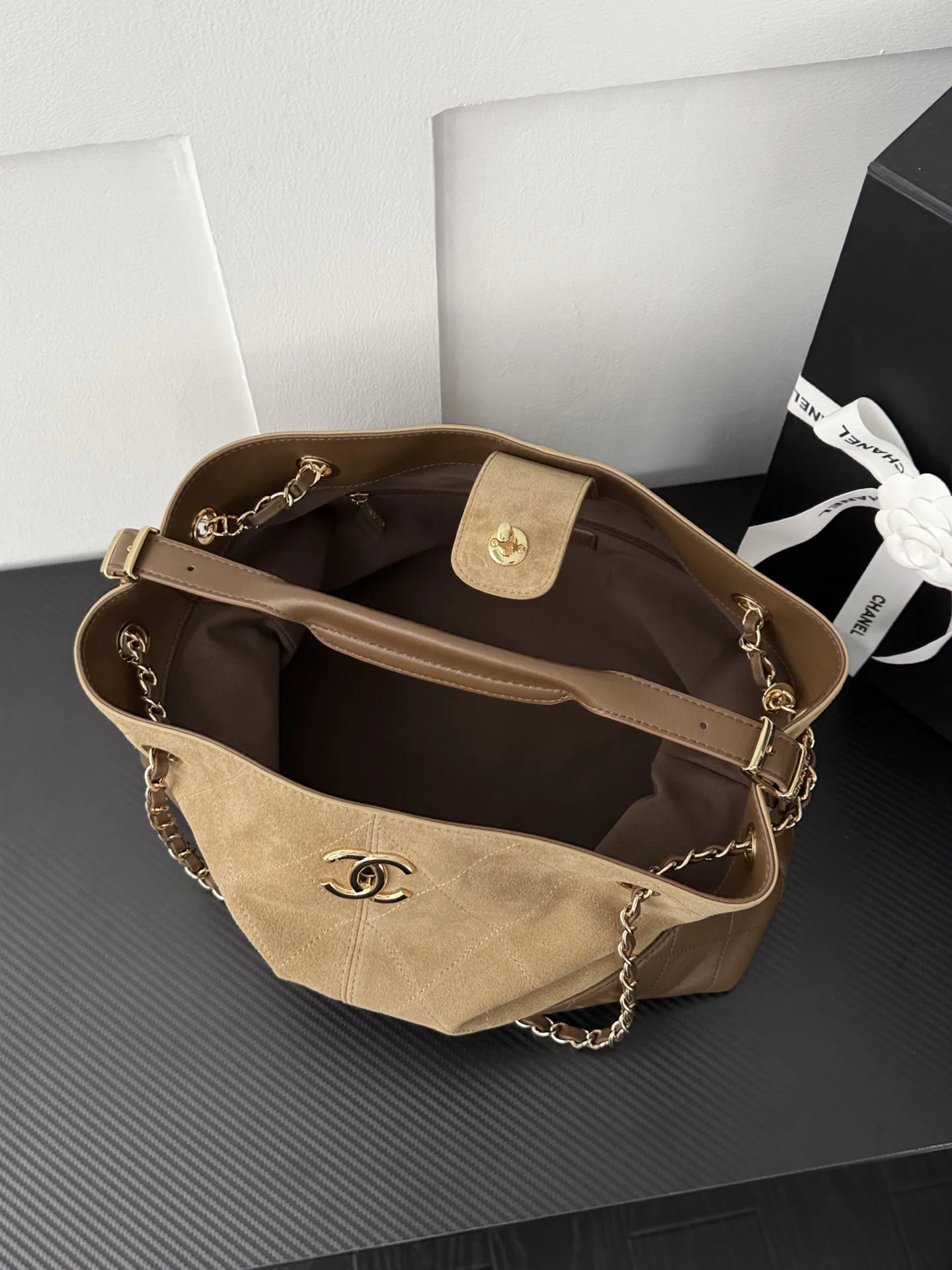 Women's Classic Handbags CHANEL 19581221