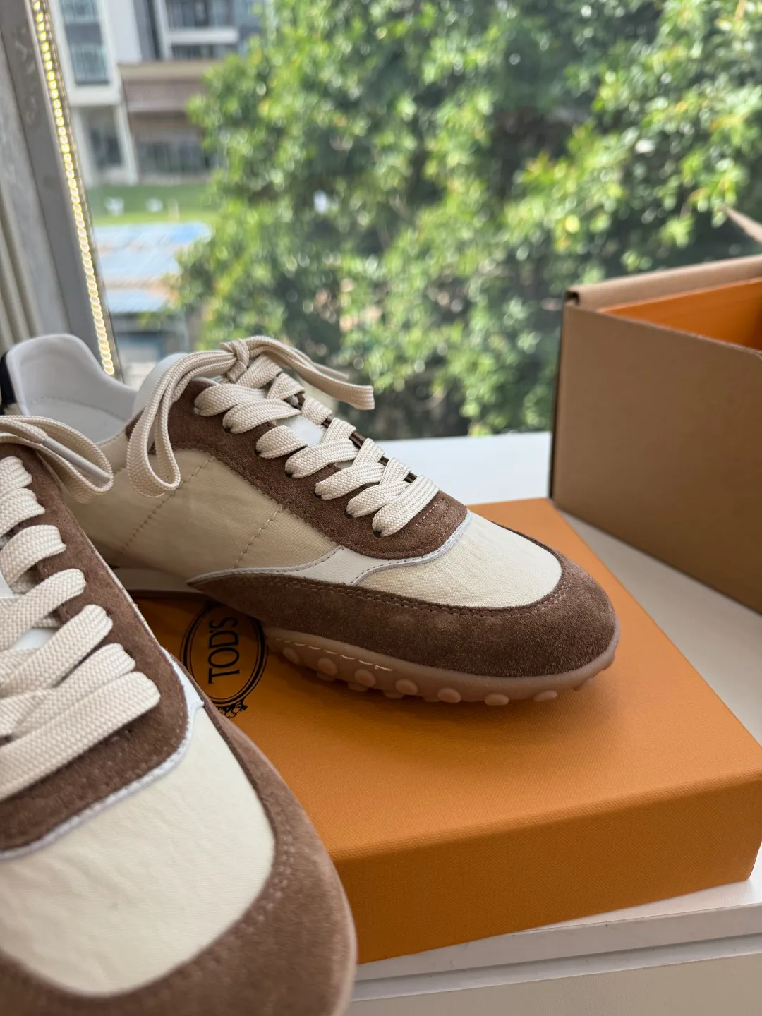 Women's Sneakers TOD'S 18497985