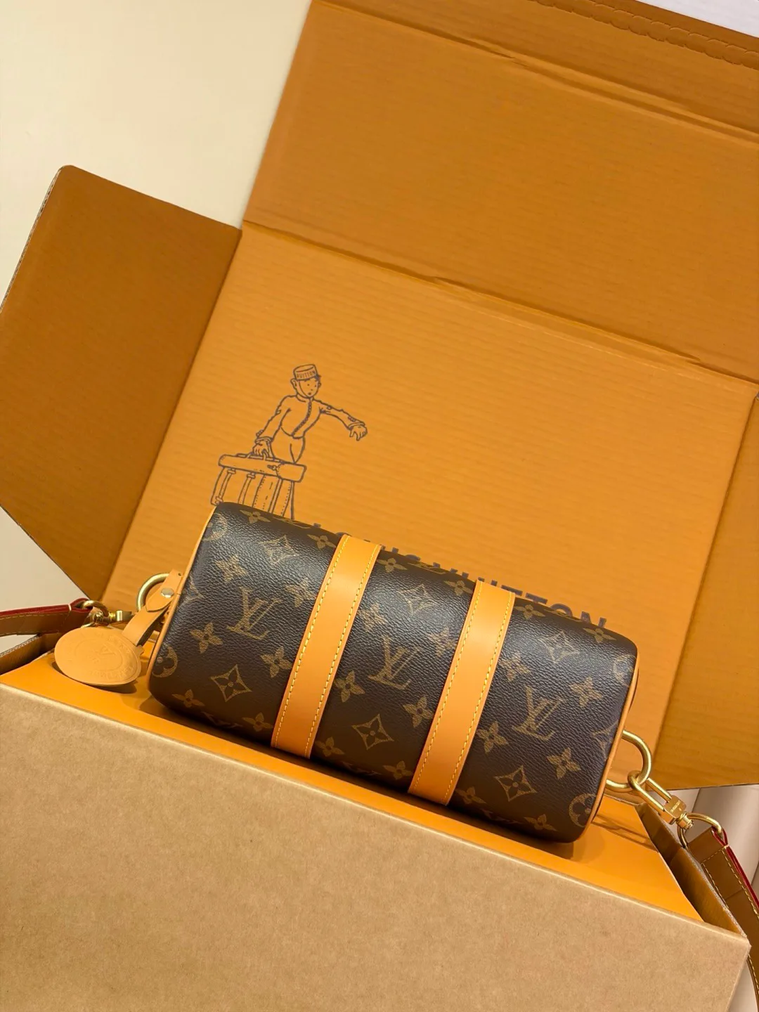 Women's Classic Handbags LOUIS VUITTON 18170493