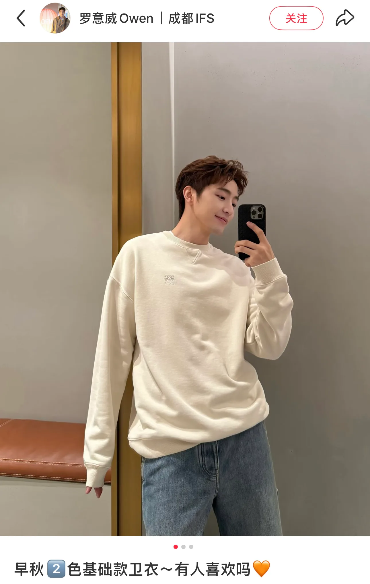 Men's Sweatshirts And Hoodies LOEWE 17801836