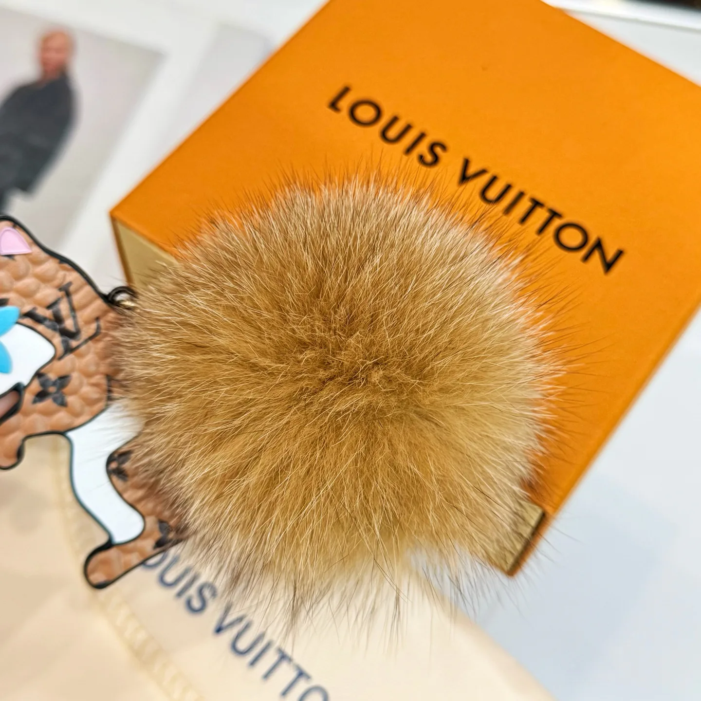 Key Cases LOUIS VUITTON 18013795