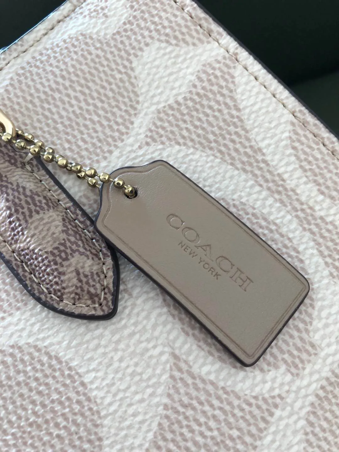 Women's Classic Handbags COACH 17960975