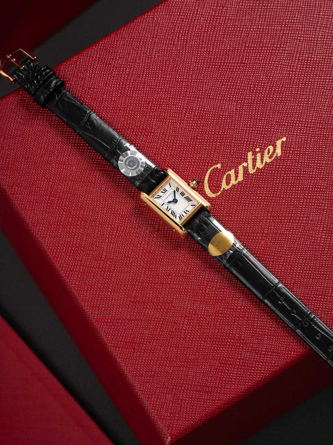 Women's Watches CARTIER 17860466