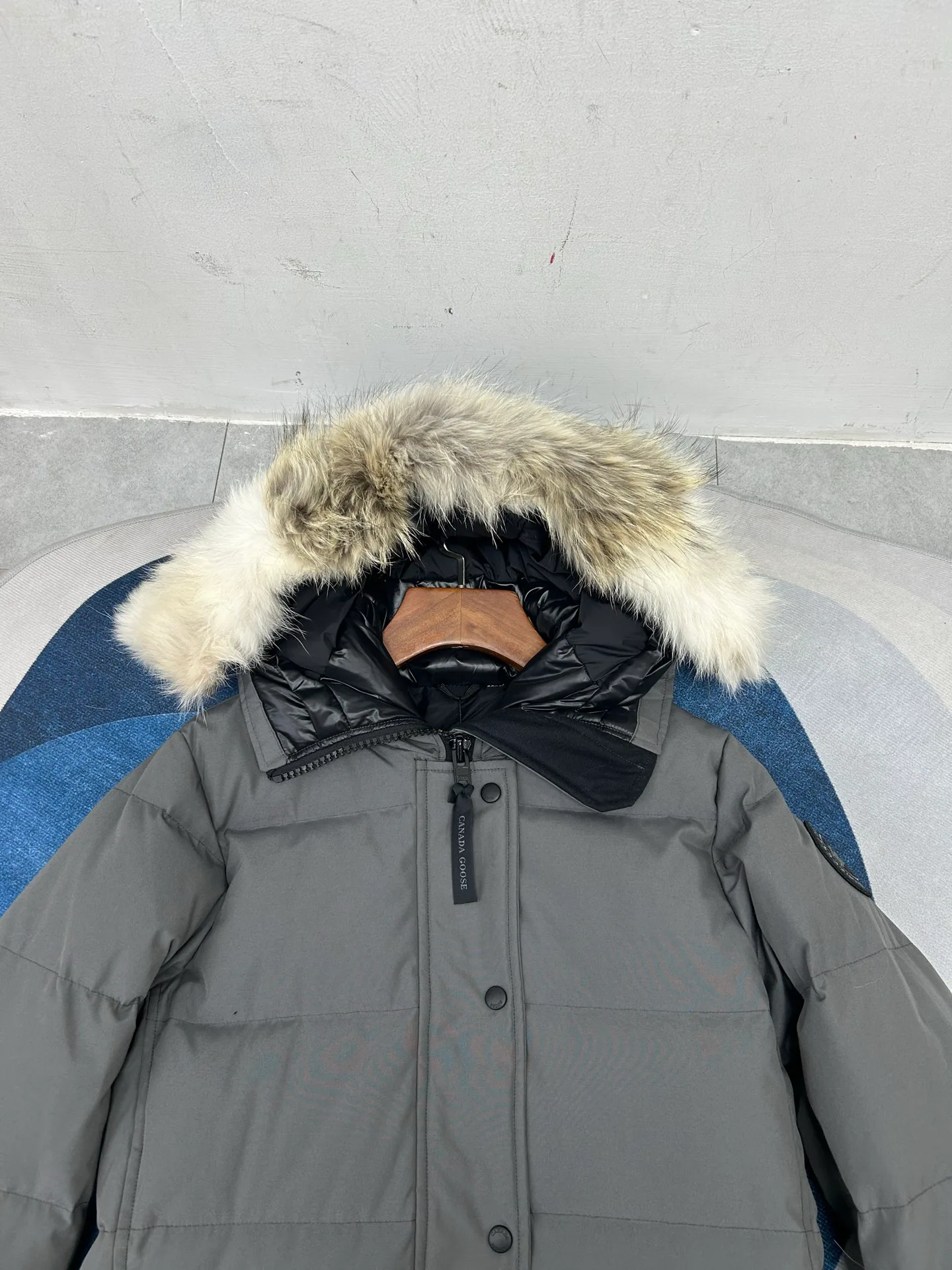 Women's Jackets And Down Jackets CANADA GOOSE 18188608