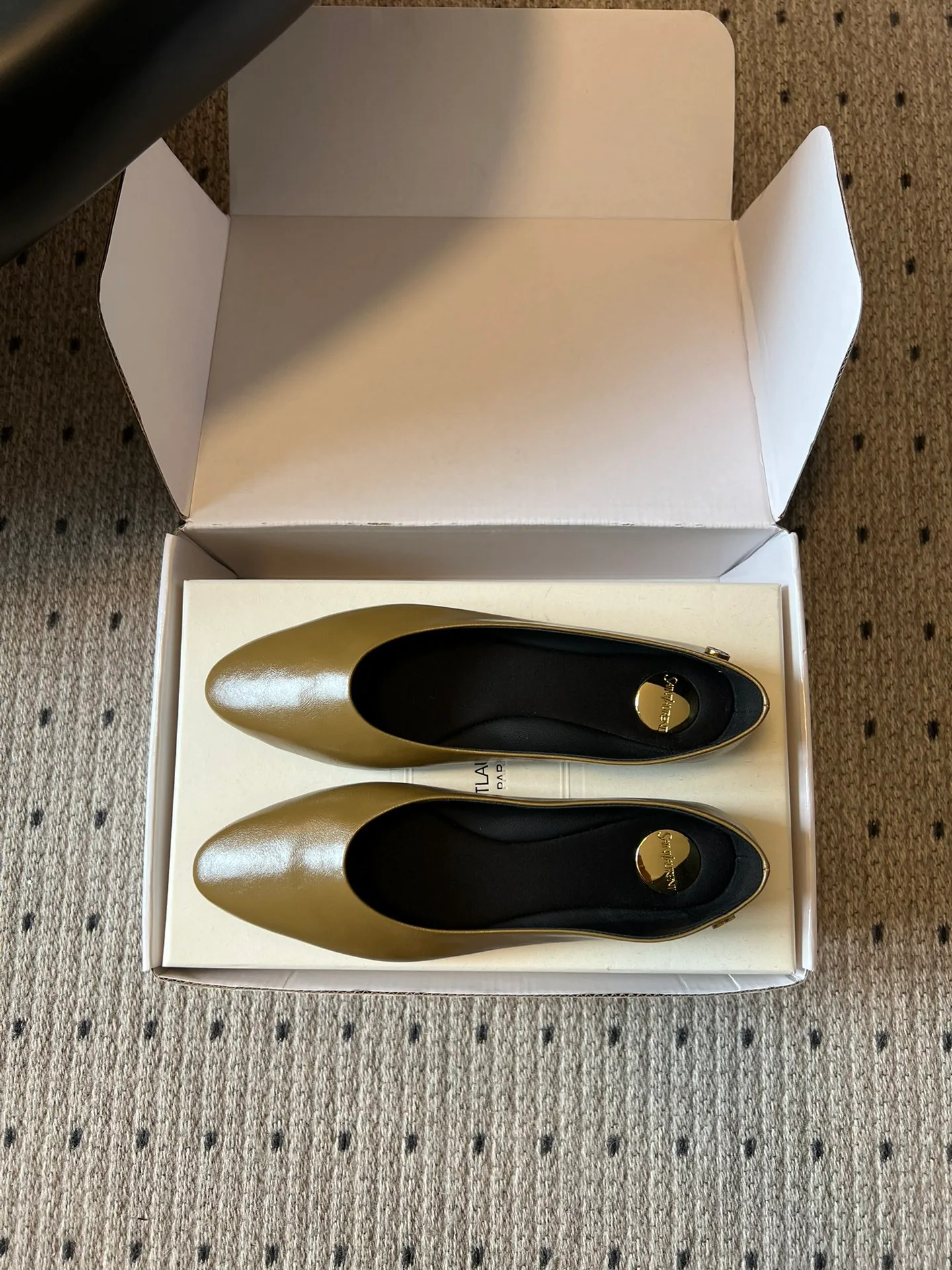 Women's Heels SAINT LAURENT 17632170