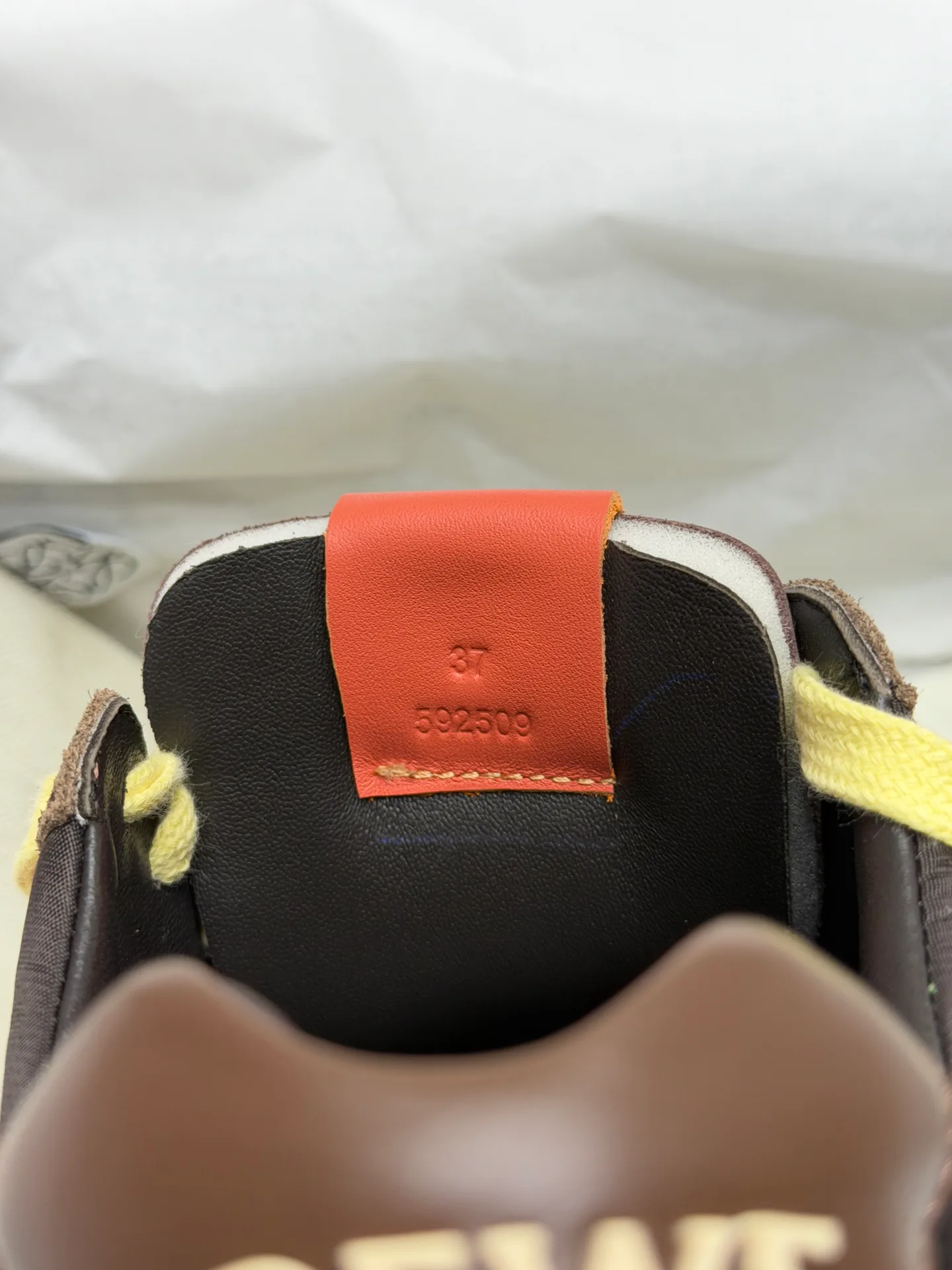 Women's Sneakers LOEWE 18191790