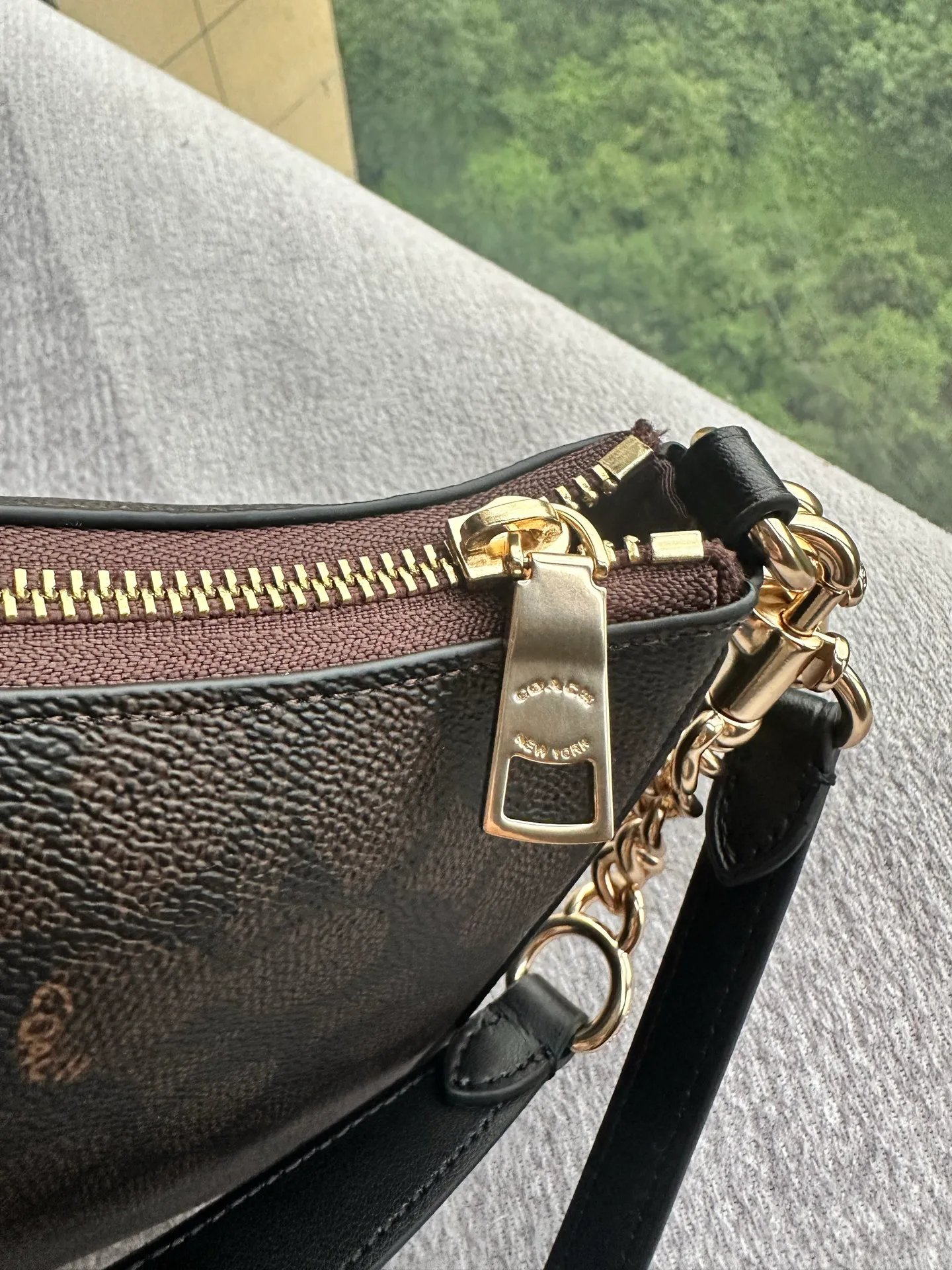 Women's Classic Handbags COACH 17961036