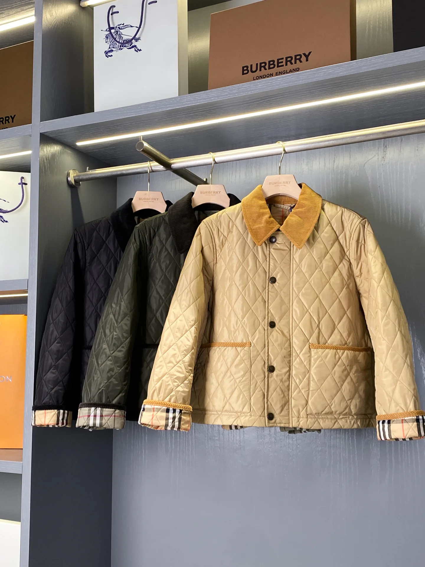 Women's Jackets And Down Jackets BURBERRY 18513006