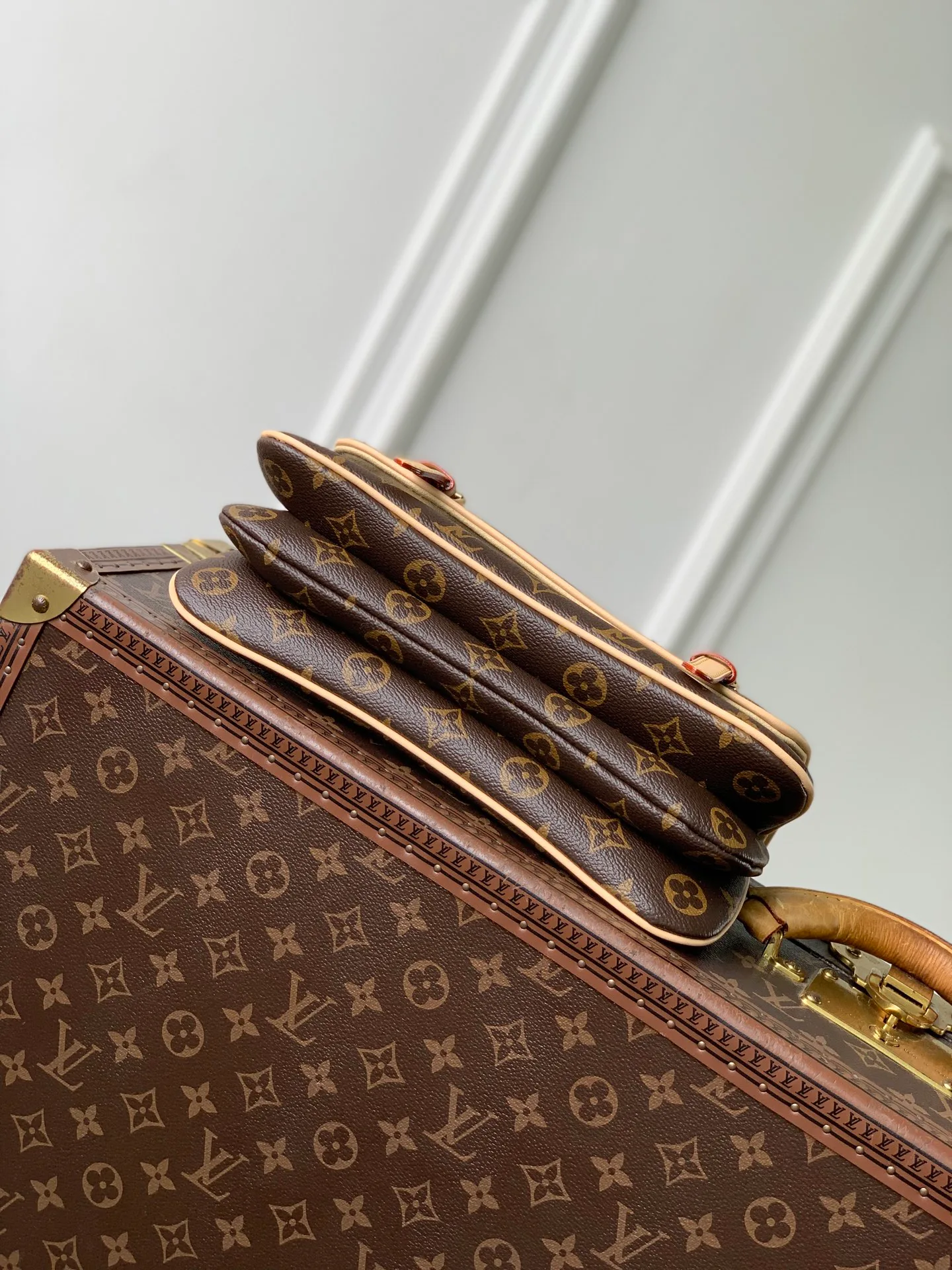 Women's Classic Handbags LOUIS VUITTON 18147432